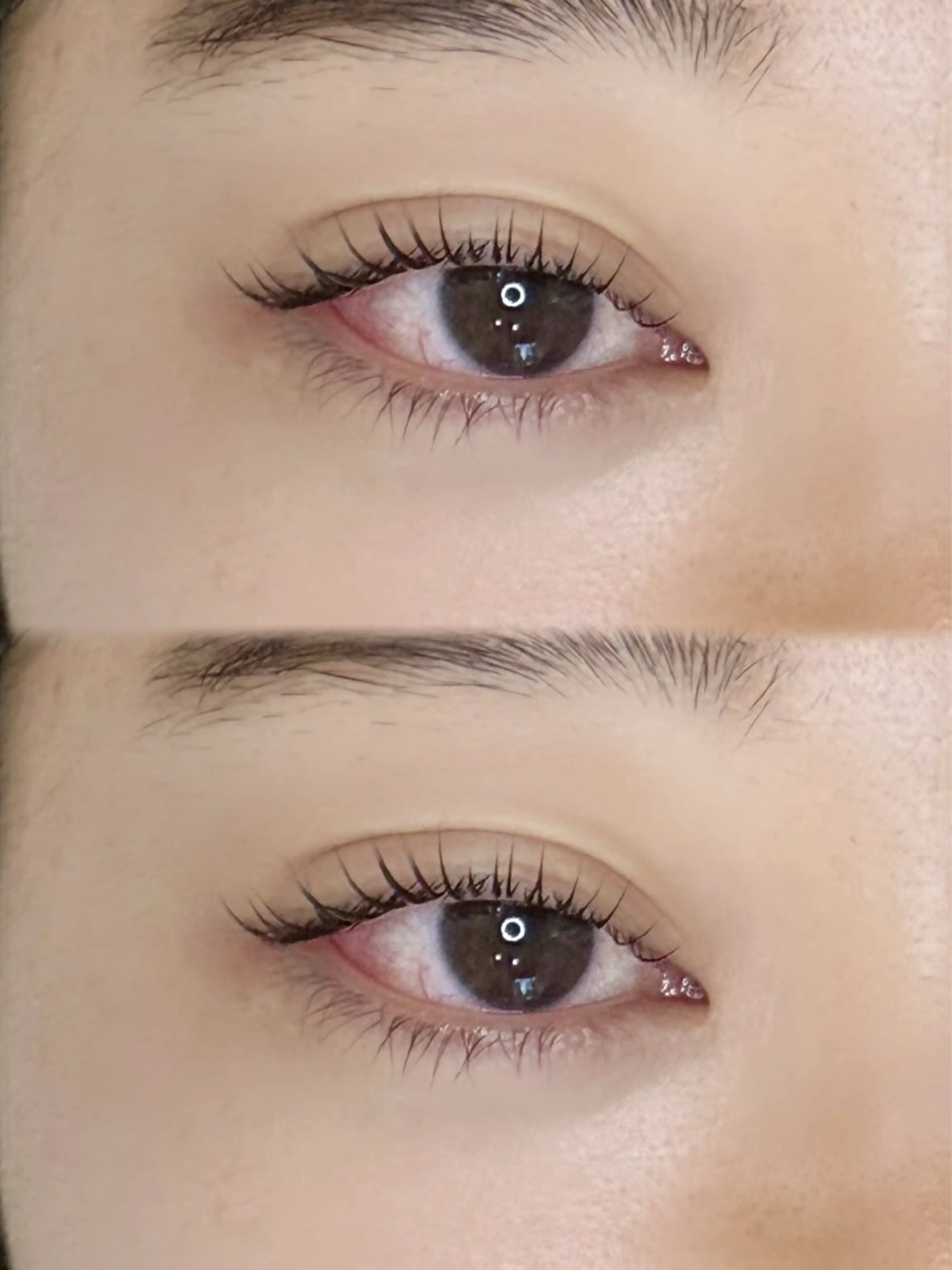 まつ毛パーマ+コーティング🐰⸝꙳.‎˖の写真