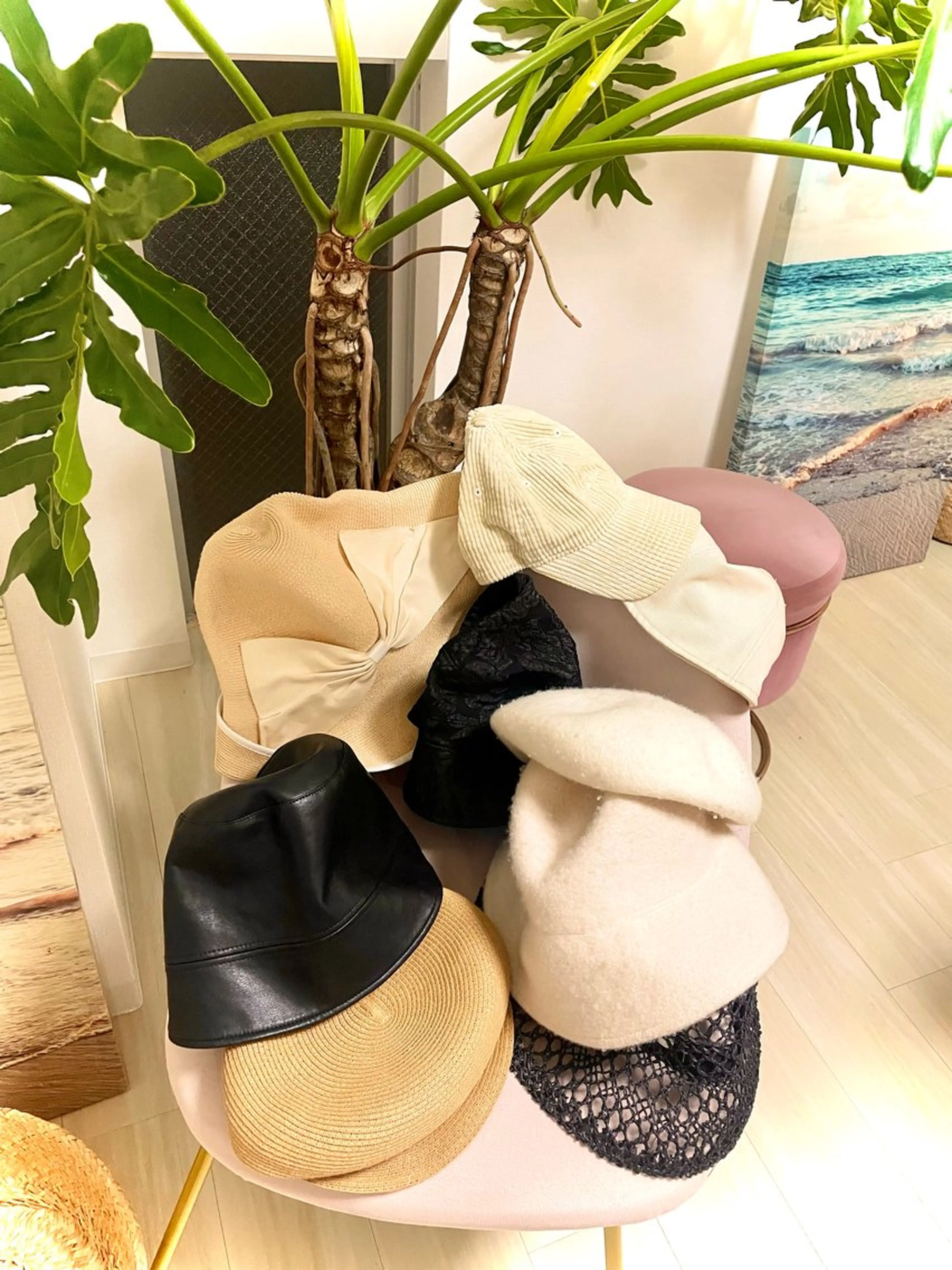 パーソナルカラー骨格顔タイプサロン/lion所属・パーソナルカラー🦩 lionのその他イメージ