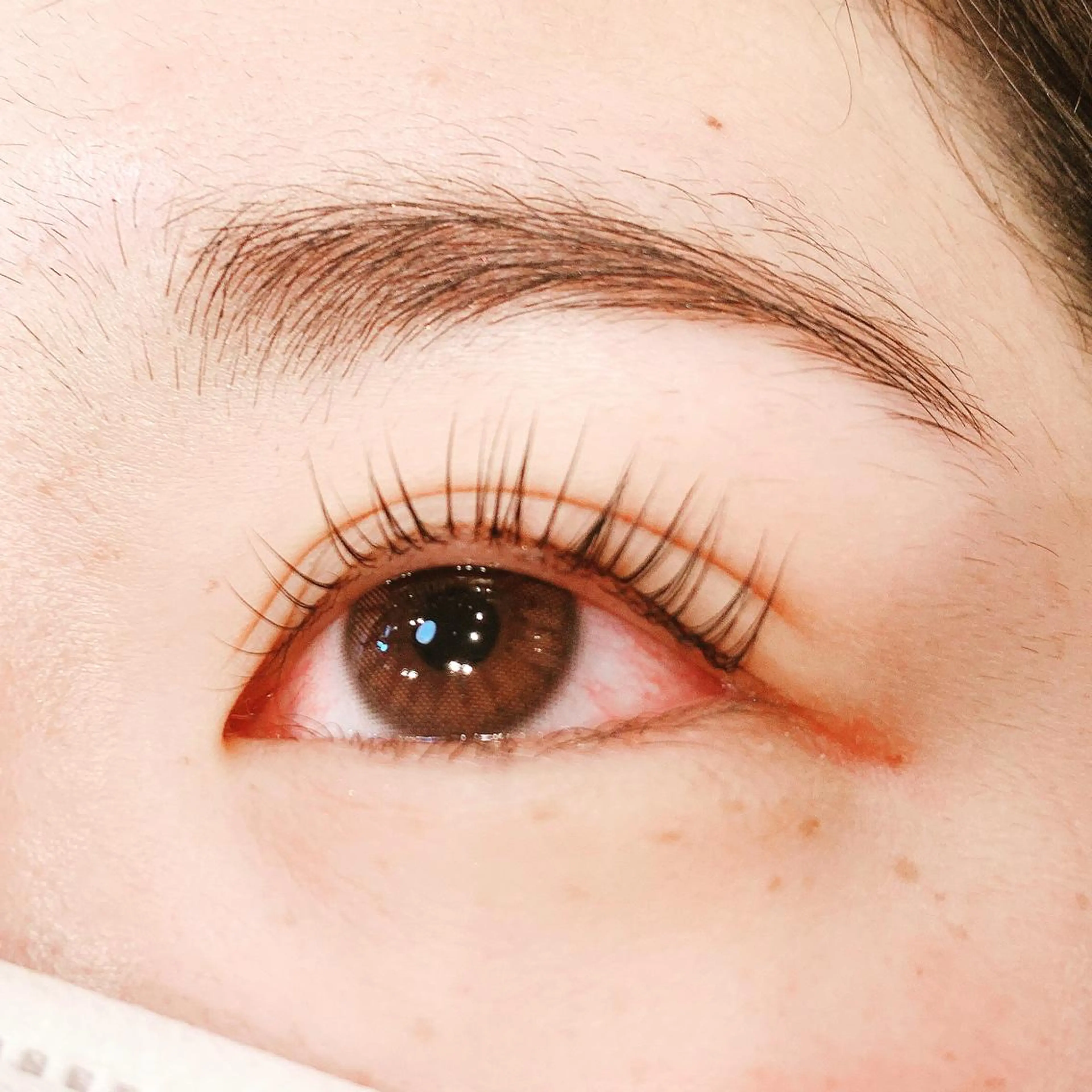 マツエク・マツパ Lil by Fan. 菊池のマツエク・マツパデザイン