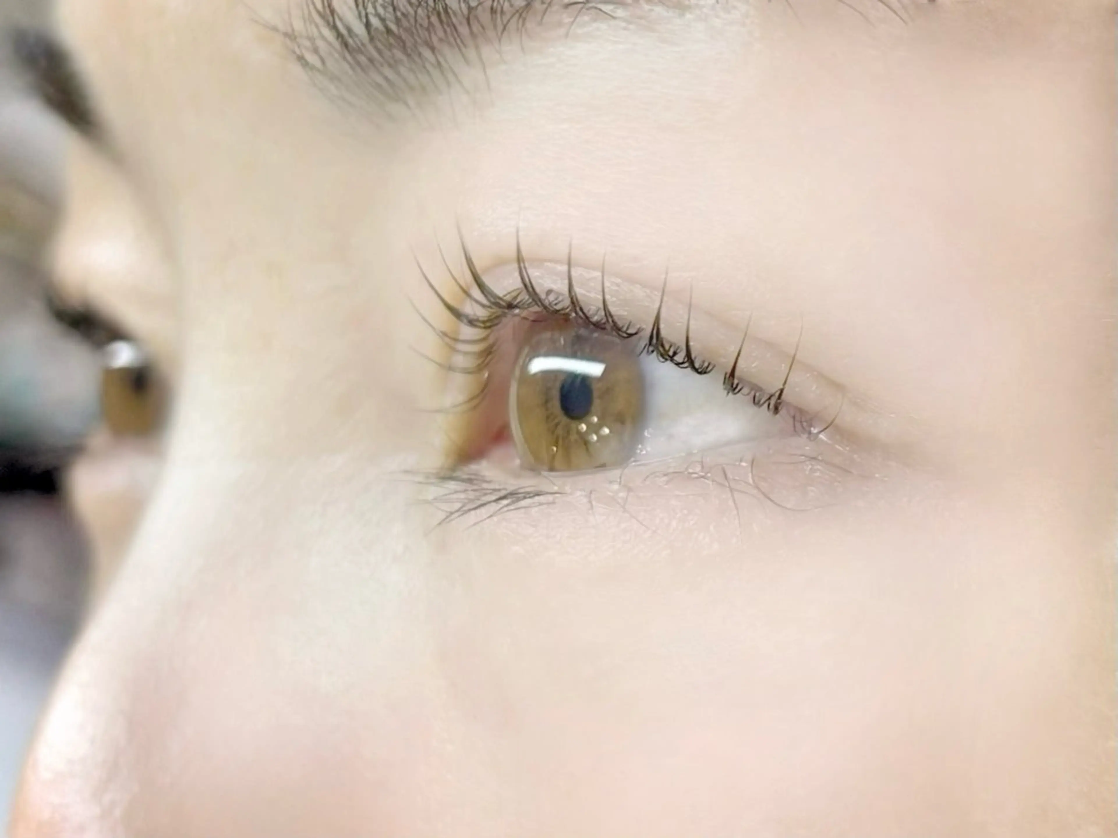 マツエク・マツパ マツパ velvet eyesのマツエク・マツパデザイン