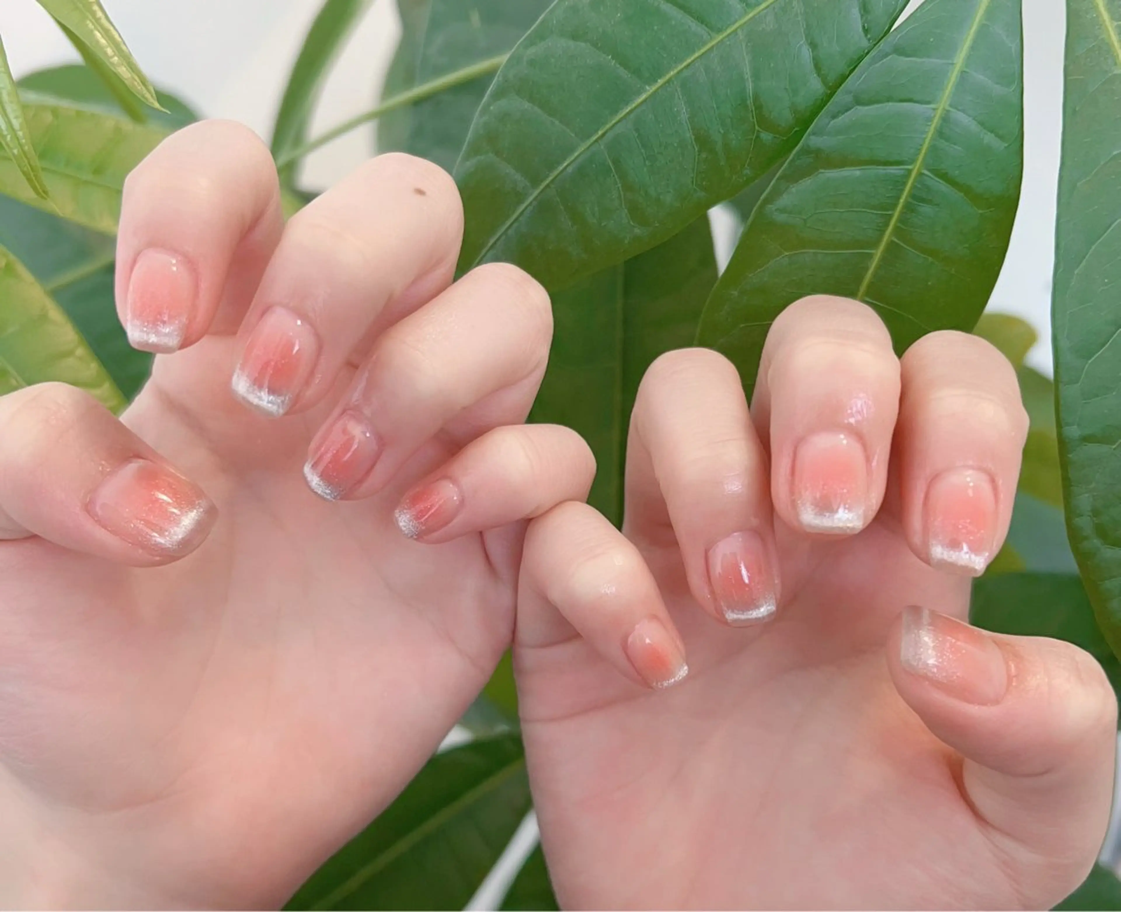 ネイル チークネイル マグネットネイル ワンホンネイル Floria KANAのネイルデザイン