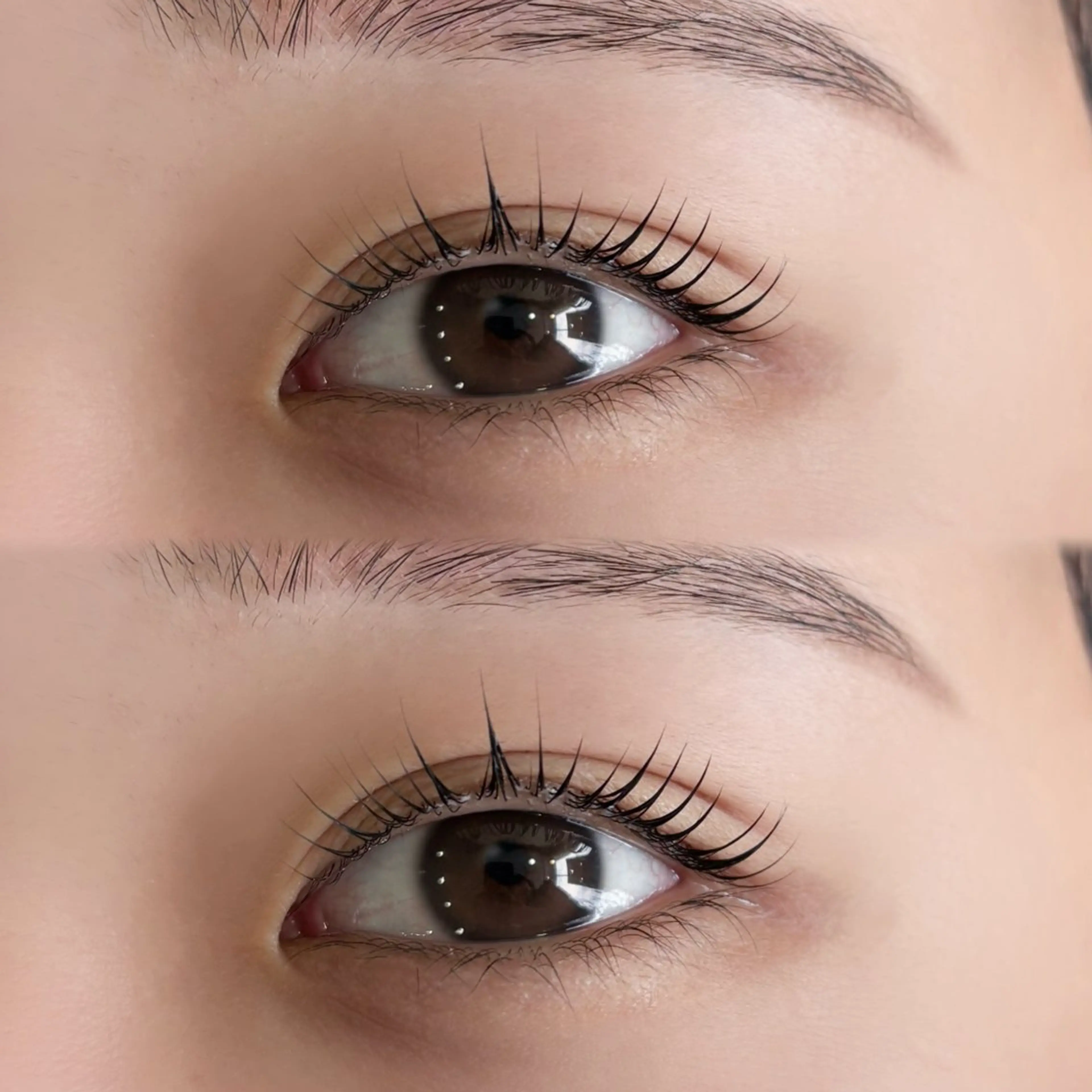 ✨️まつ毛パーマ✨️の写真