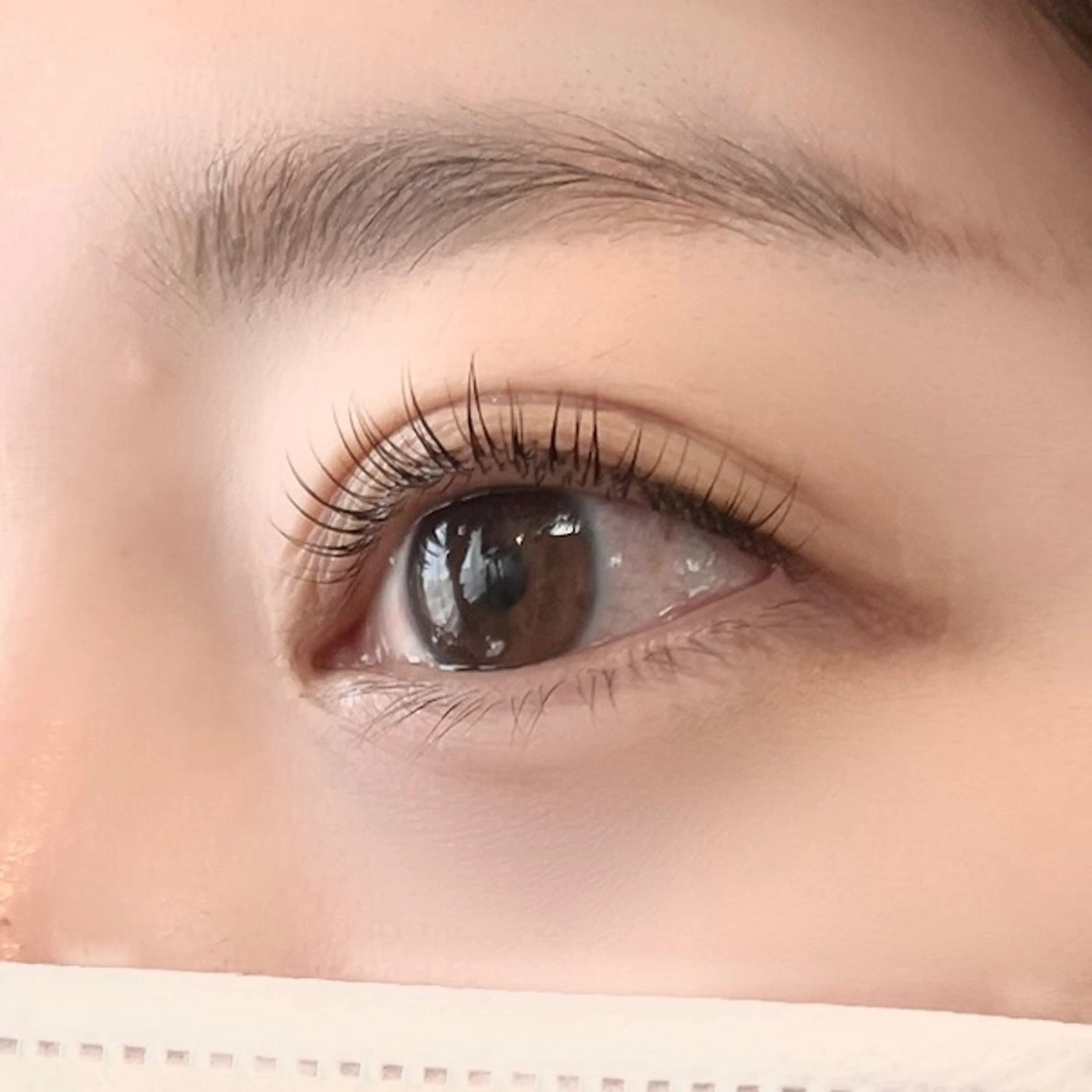 マツエク・マツパ マツパ 🦋平林 未莉🦋✨のマツエク・マツパデザイン