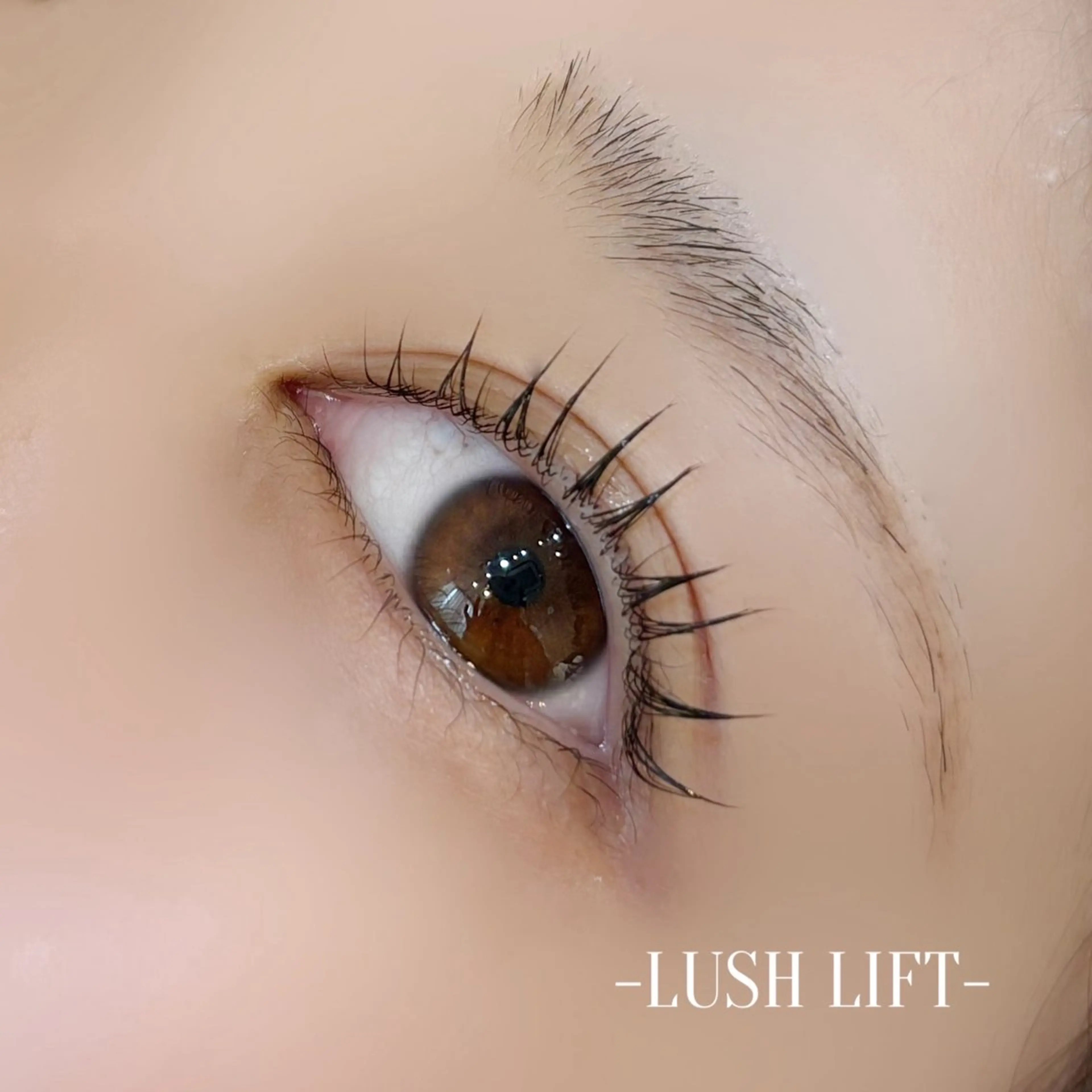 マツエク・マツパ まつげパーマ マツパ Bianca 名駅店 飯田のマツエク・マツパデザイン