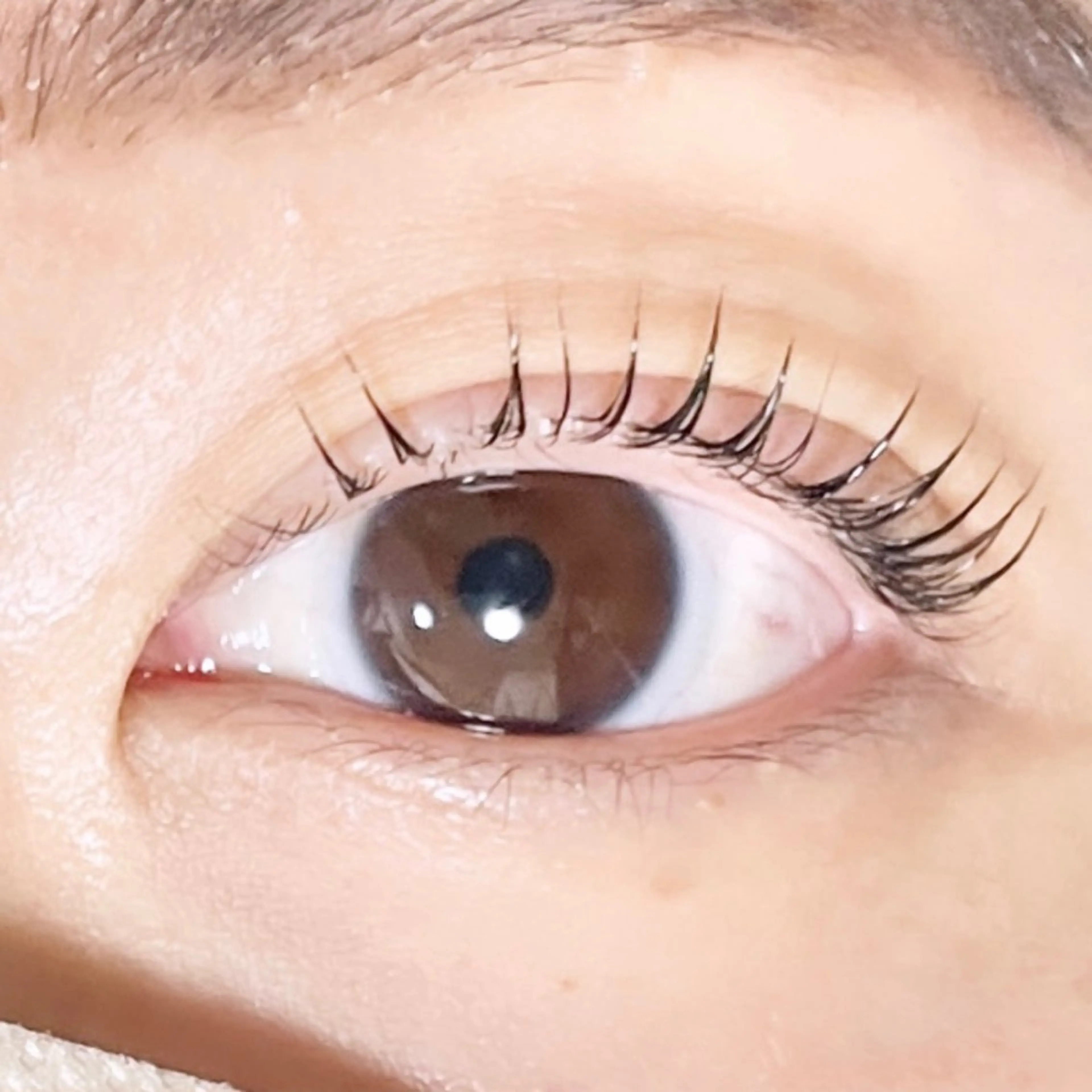 マツエク・マツパ TAKEO🖤 マリーテレジア藤が丘のマツエク・マツパデザイン