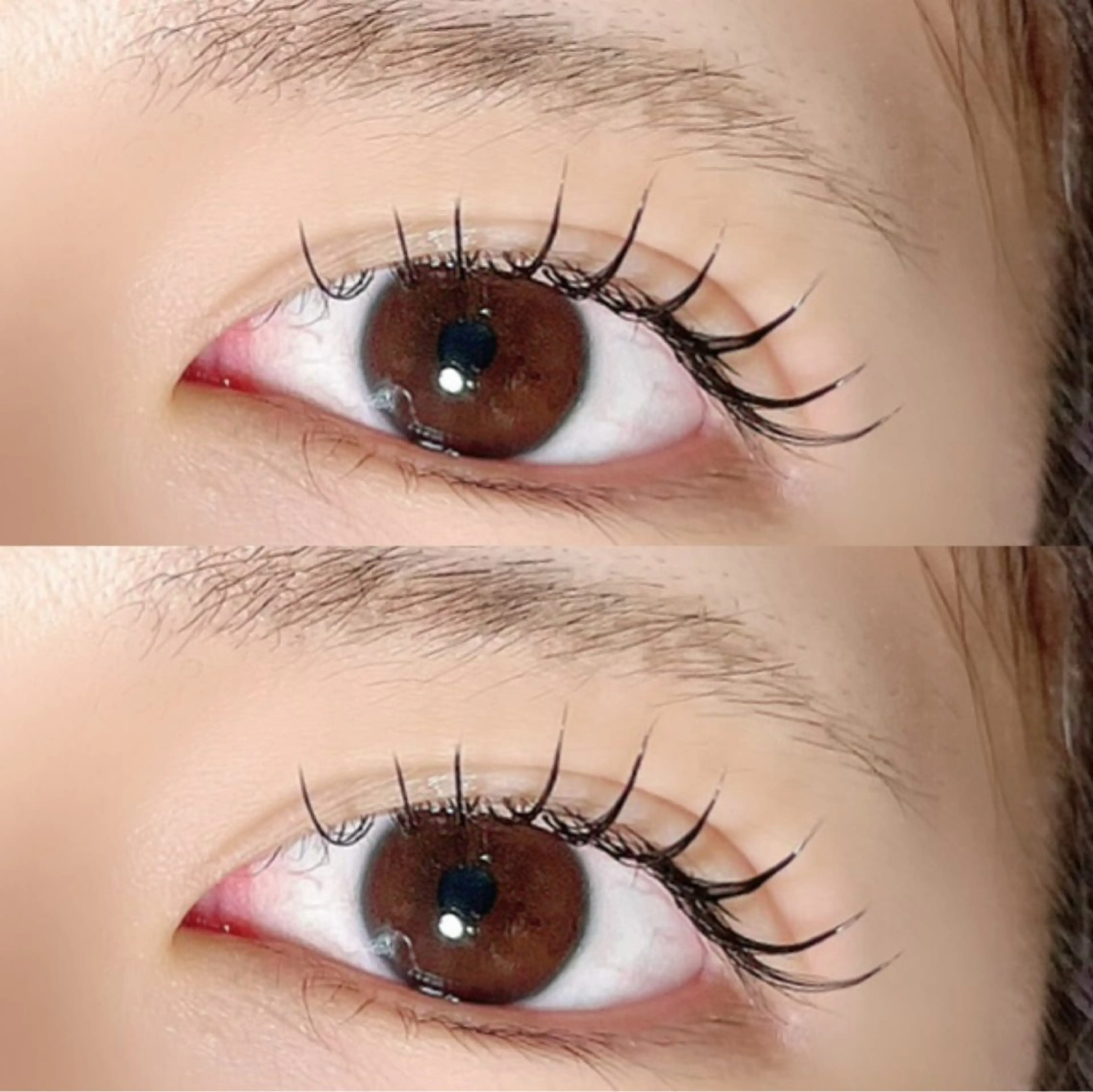 マツエク・マツパ Cカール キュート フラットラッシュ Maaz lash 🫧4のマツエク・マツパデザイン