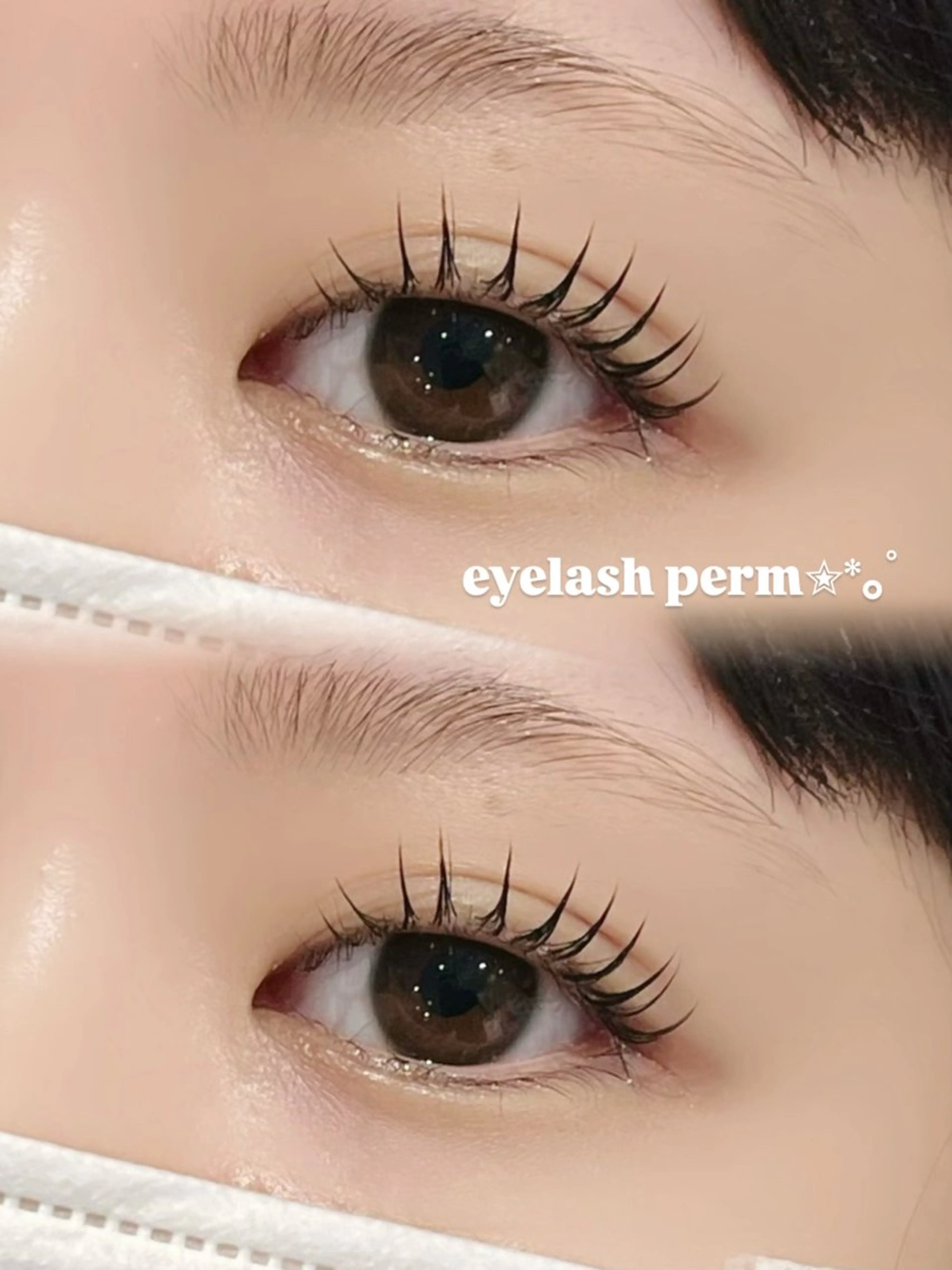 韓ドル風束感まつ毛パーマ➕コーティング仕上げ✨(上のみ)の写真