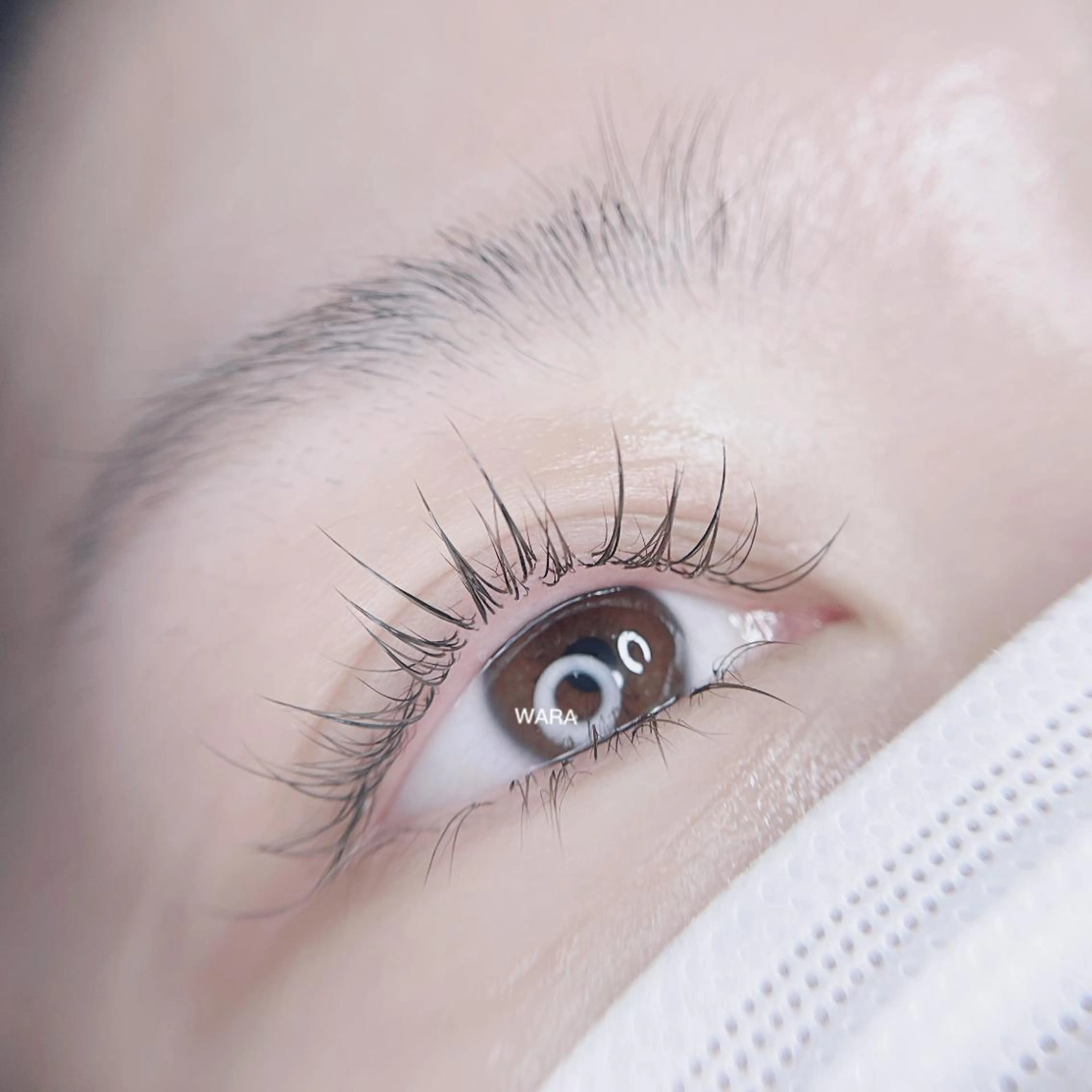 マツエク・マツパ foisalon 大久保店のマツエク・マツパデザイン