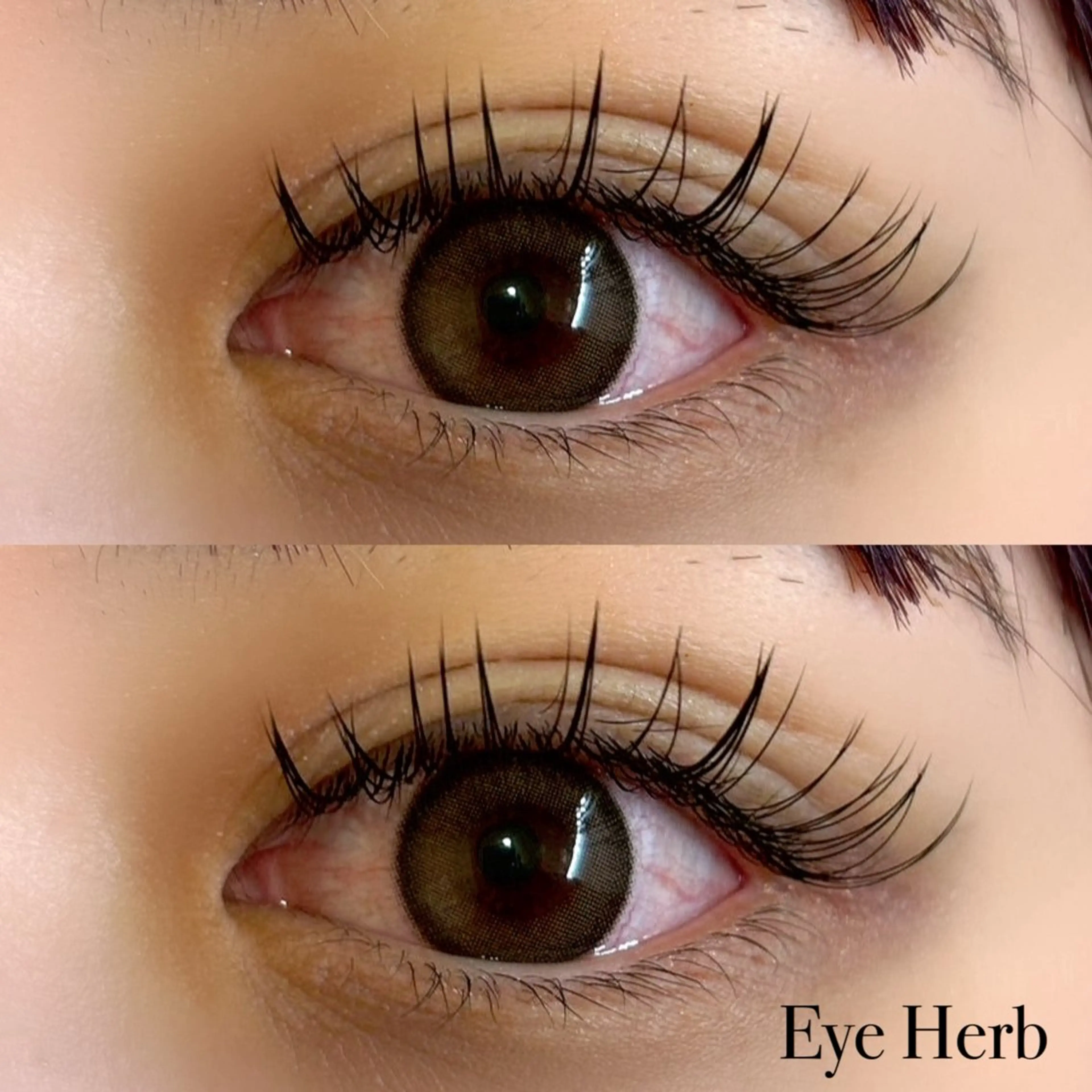 マツエク・マツパ フラットラッシュ マツエク EyeHerb ♡rinのマツエク・マツパデザイン