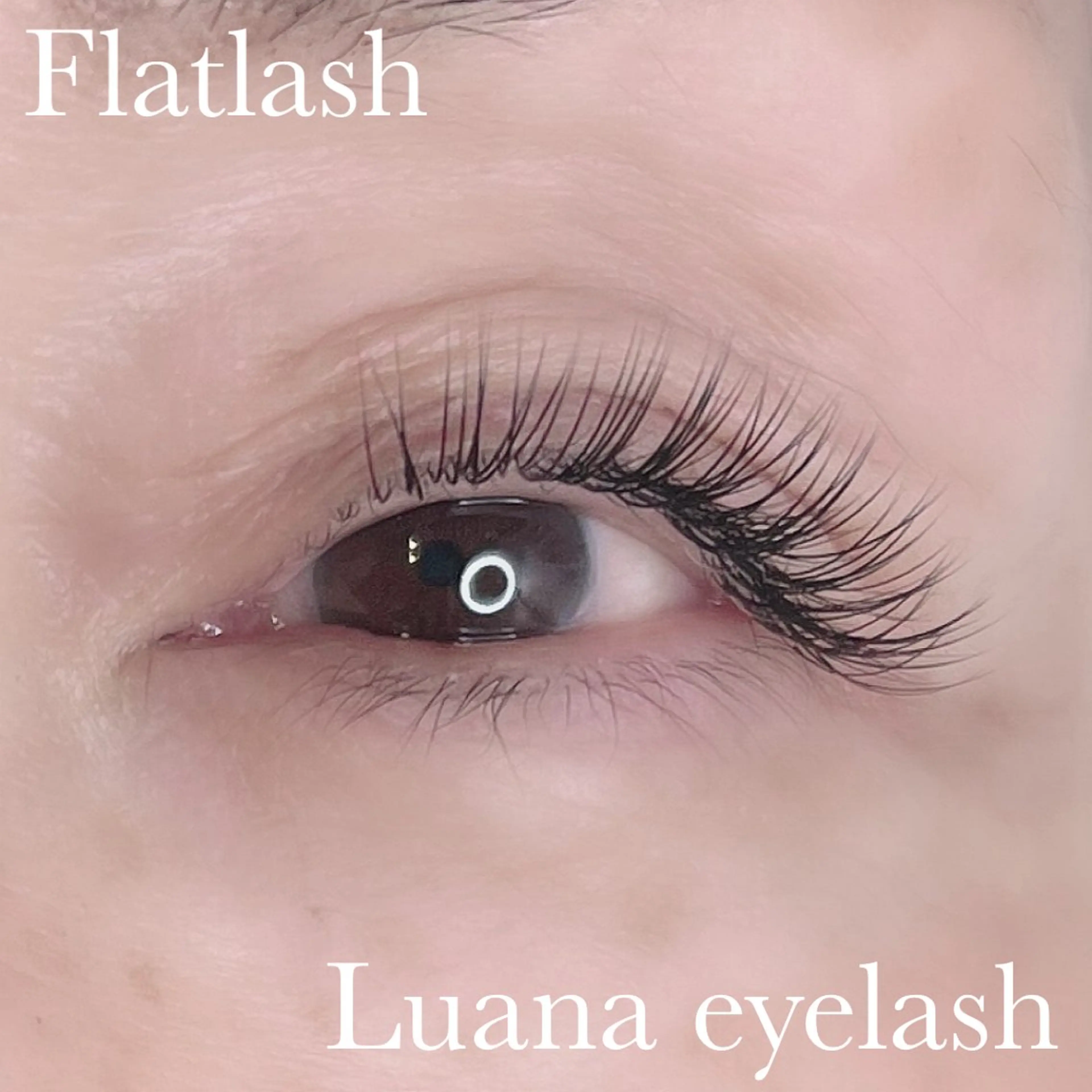 マツエク・マツパ マツエク Luana  アイラッシュ& フェイシャル所属・Luana eyelashのマツエク・マツパデザイン