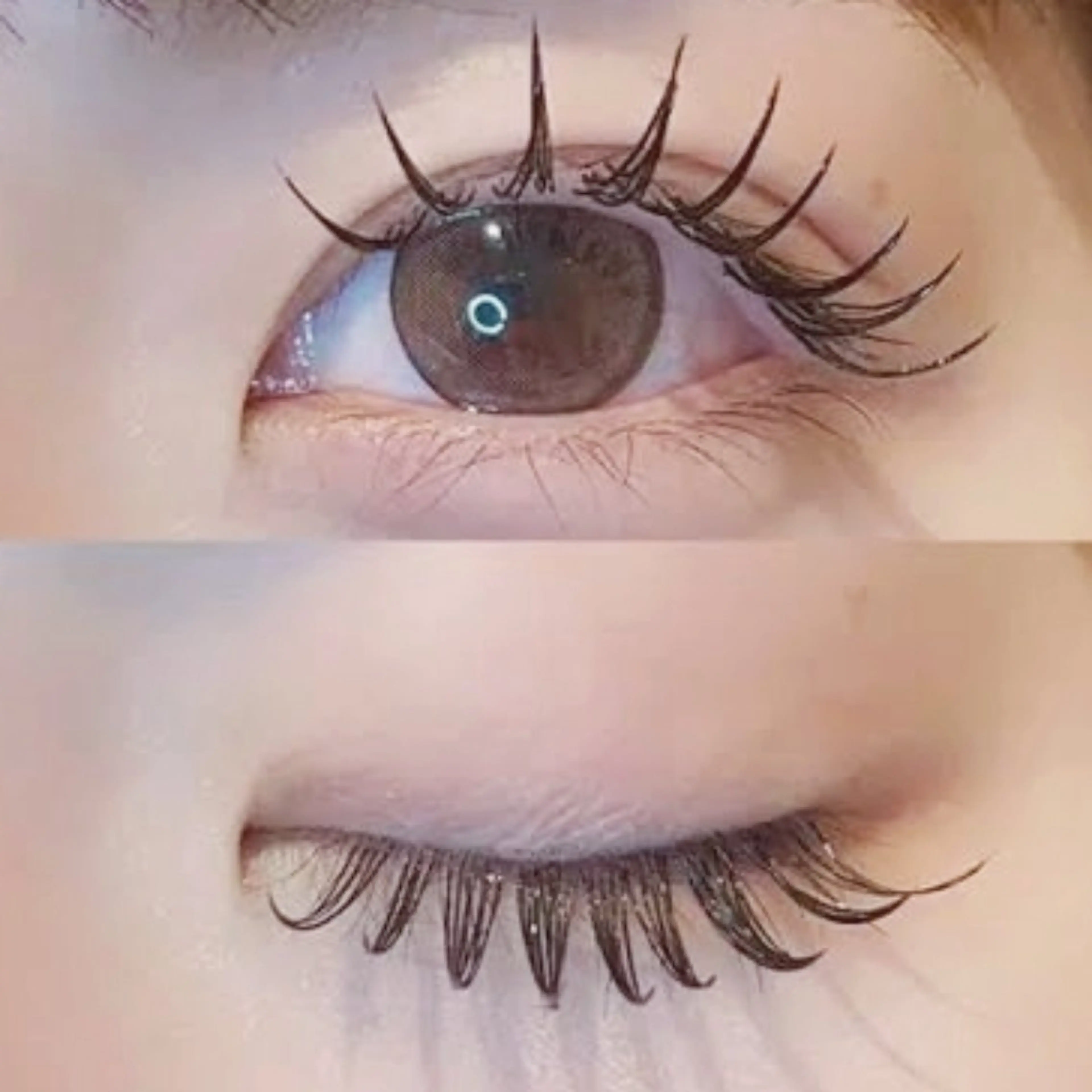 軽量マツエク＊フラットラッシュ✨100本🌷(土曜+500円)の写真
