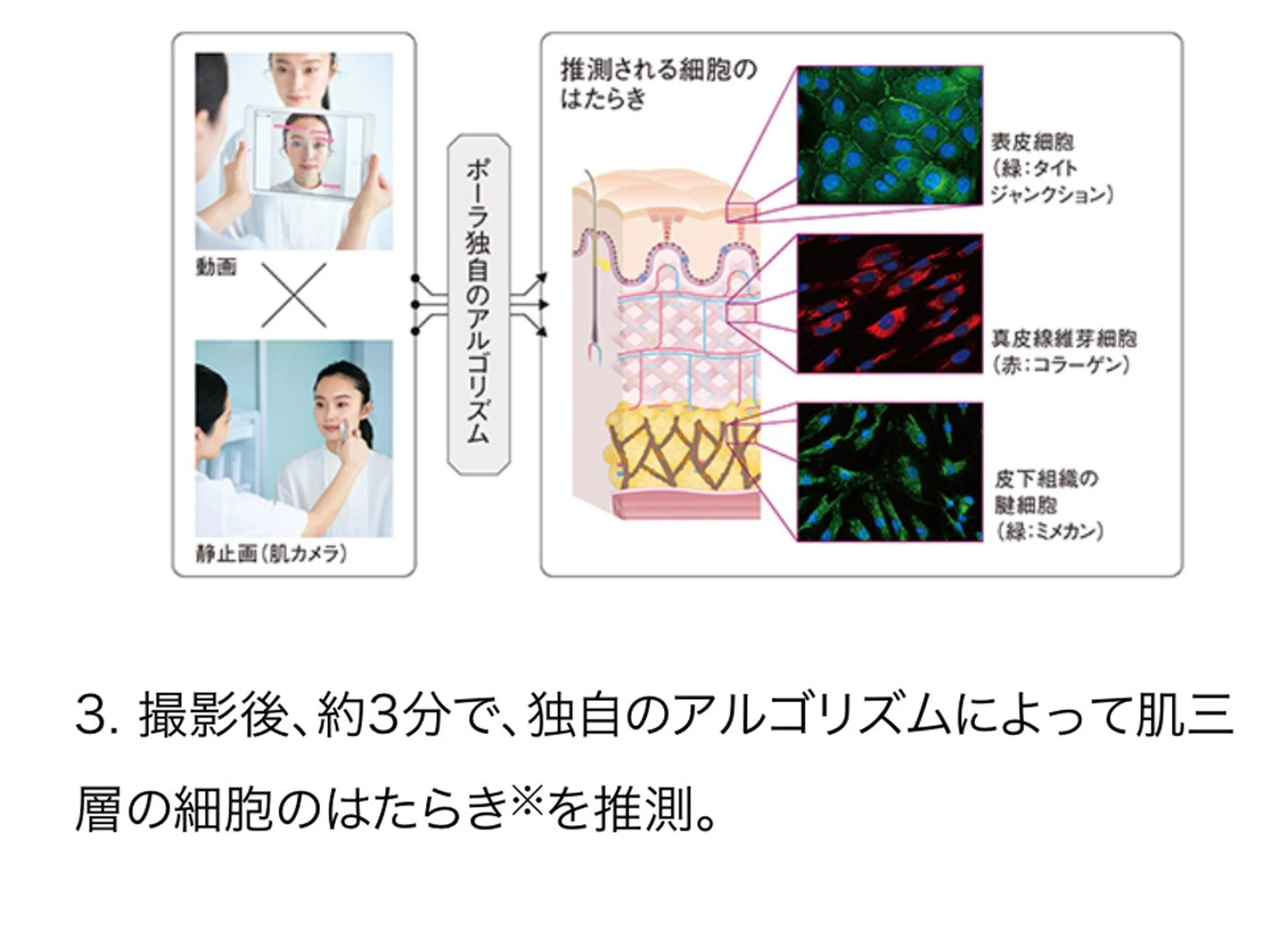 メンズ 下部 瑞歩のエステ・リラクイメージ