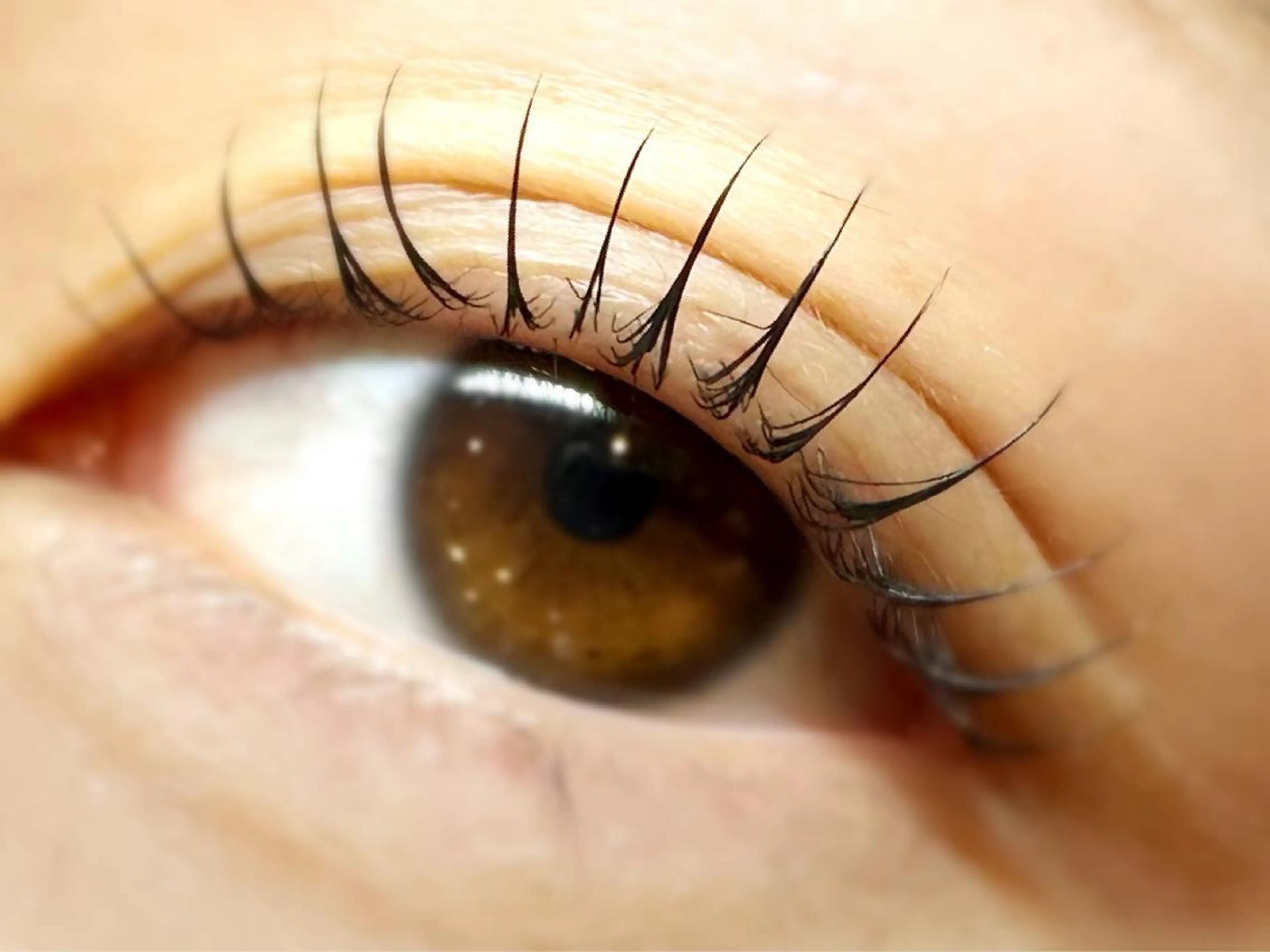 マツエク・マツパ komatsu eyelash恵比寿のマツエク・マツパデザイン