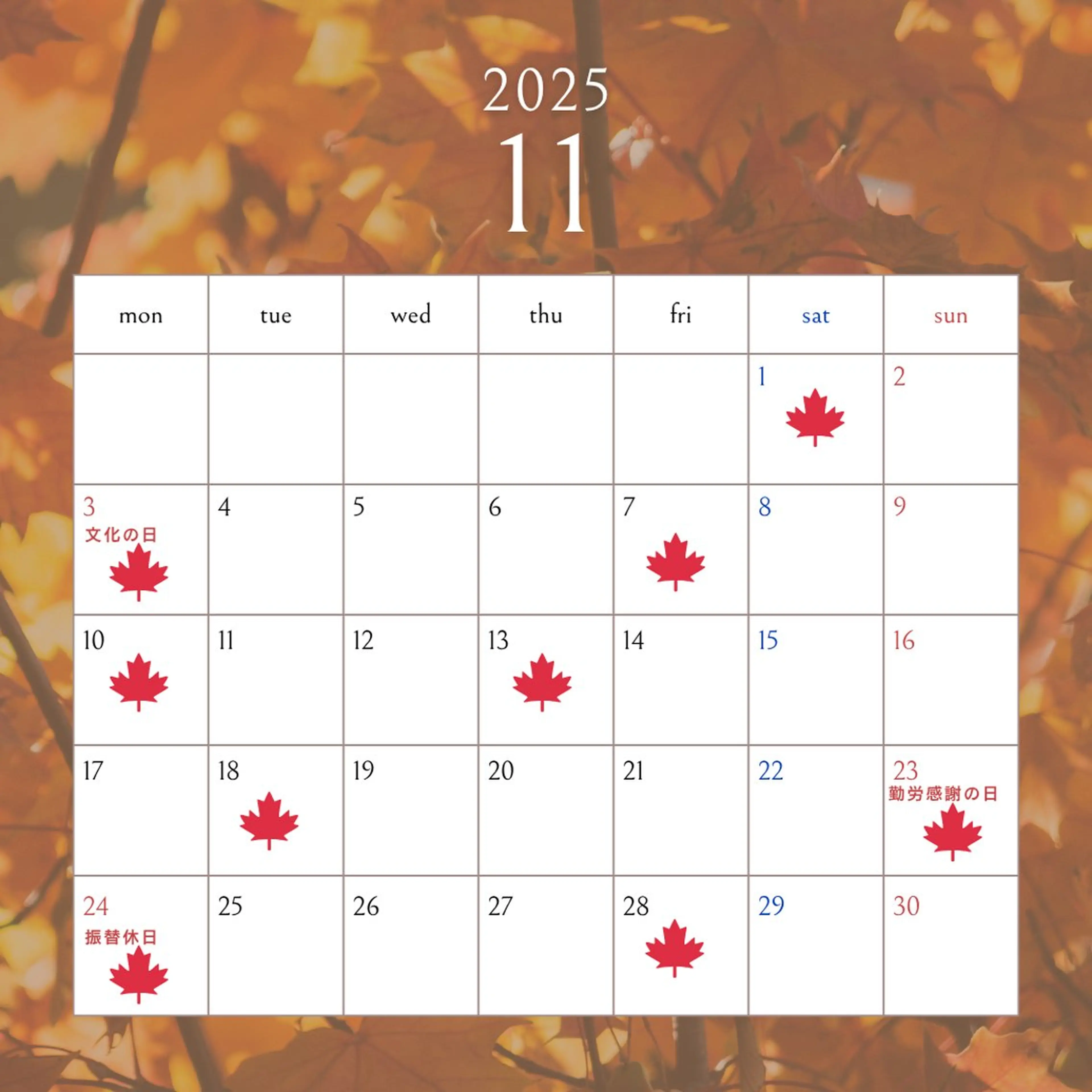 北川 渚のマツエク・マツパデザイン