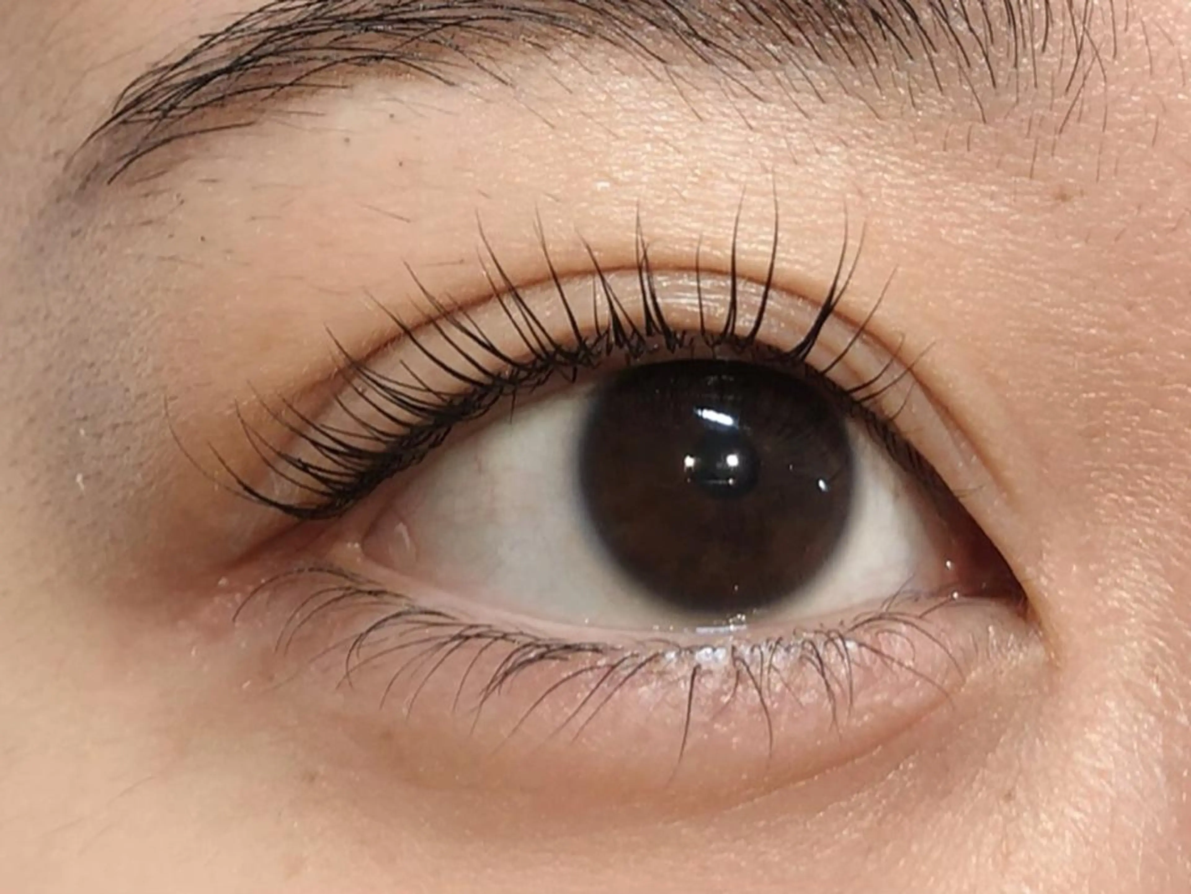 マツエク・マツパ Luana北千住🩵 株木 美果のマツエク・マツパデザイン