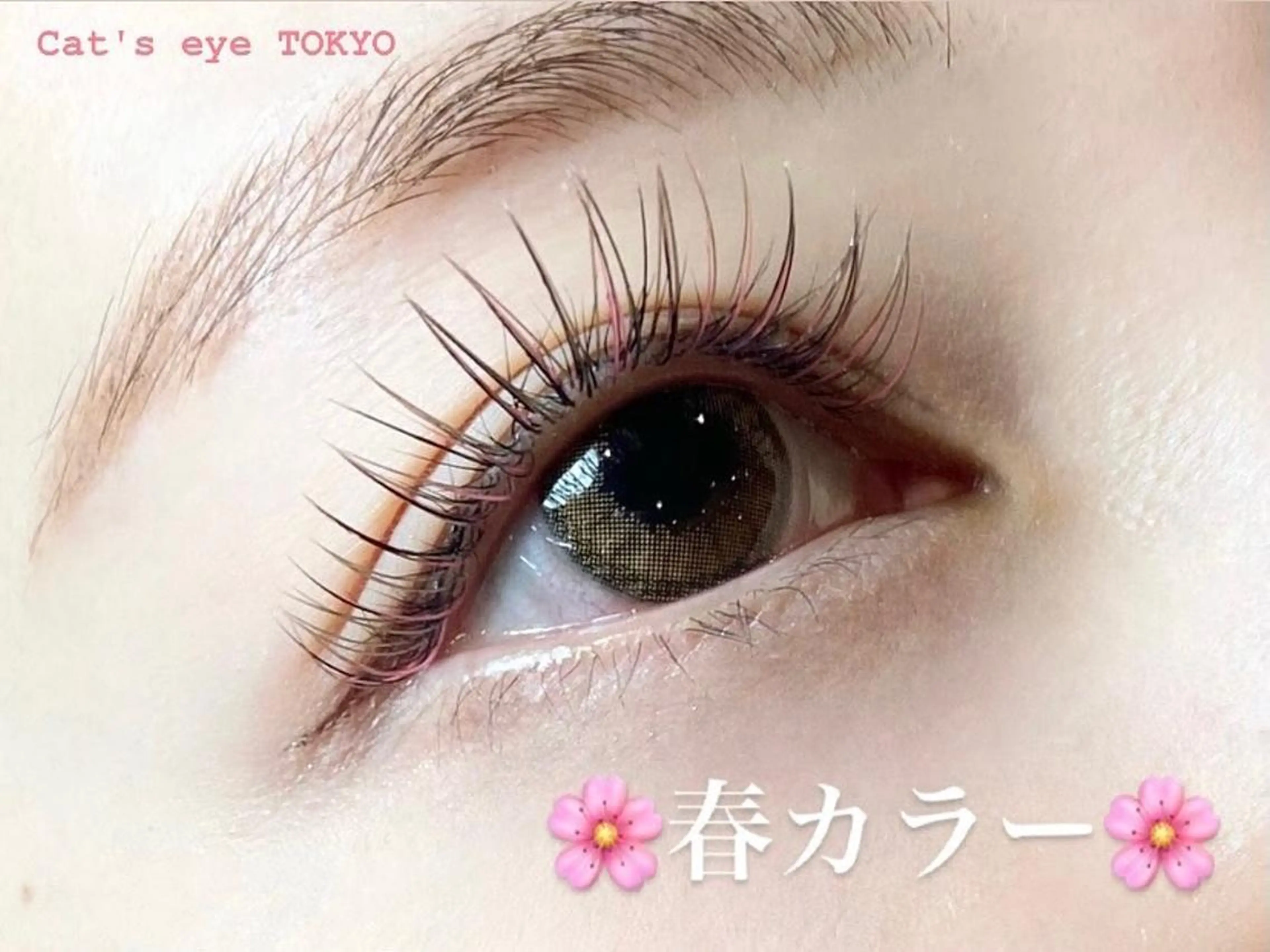 ネイル マツエク・マツパ カラーマツエク 長さ出し ピンク 春ネイル Cat's eye TOKYO 新宿店のネイルデザイン