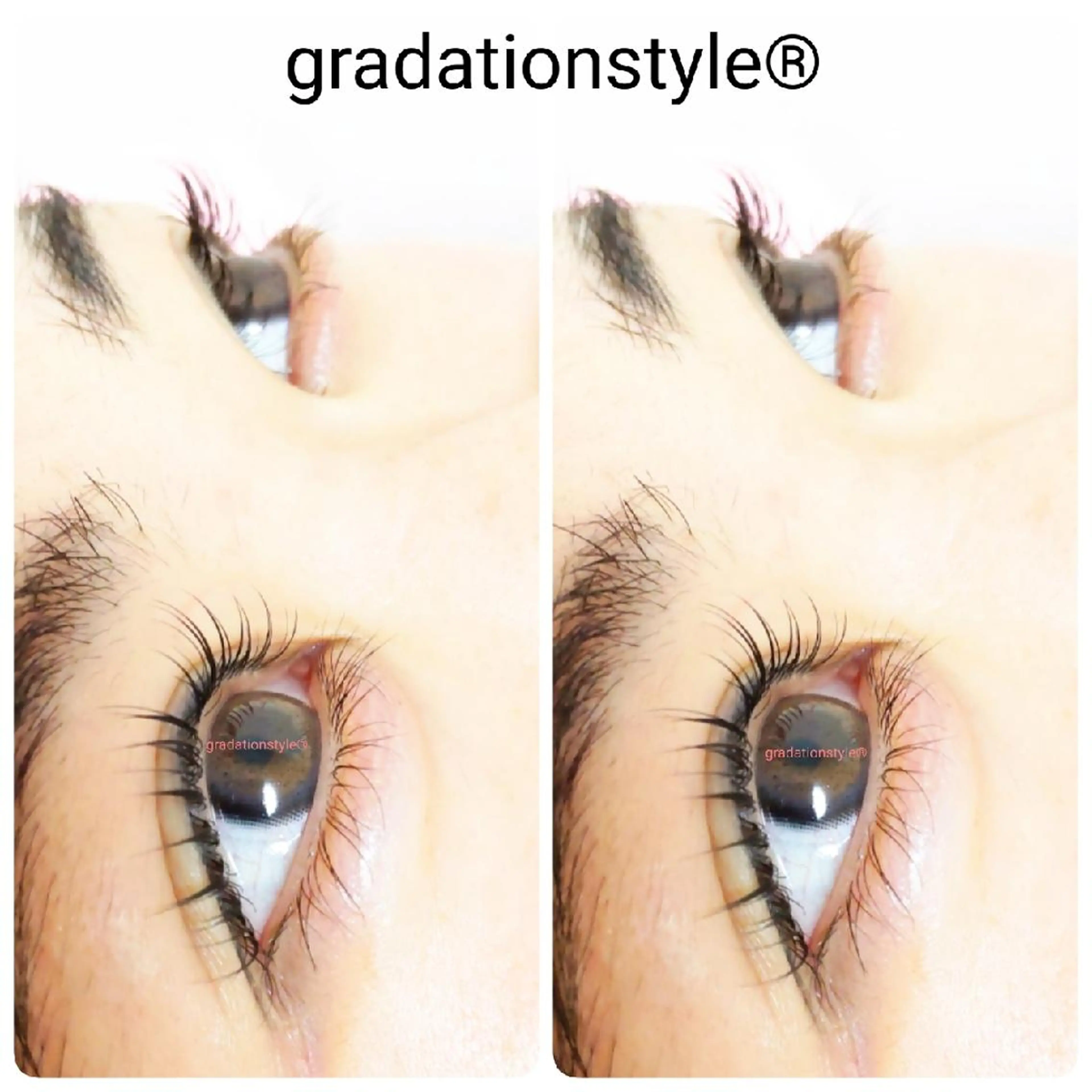 マツエク・マツパ 一重×まつ毛パーマ 🎼グラデーション スタイル札幌♫*✧のマツエク・マツパデザイン