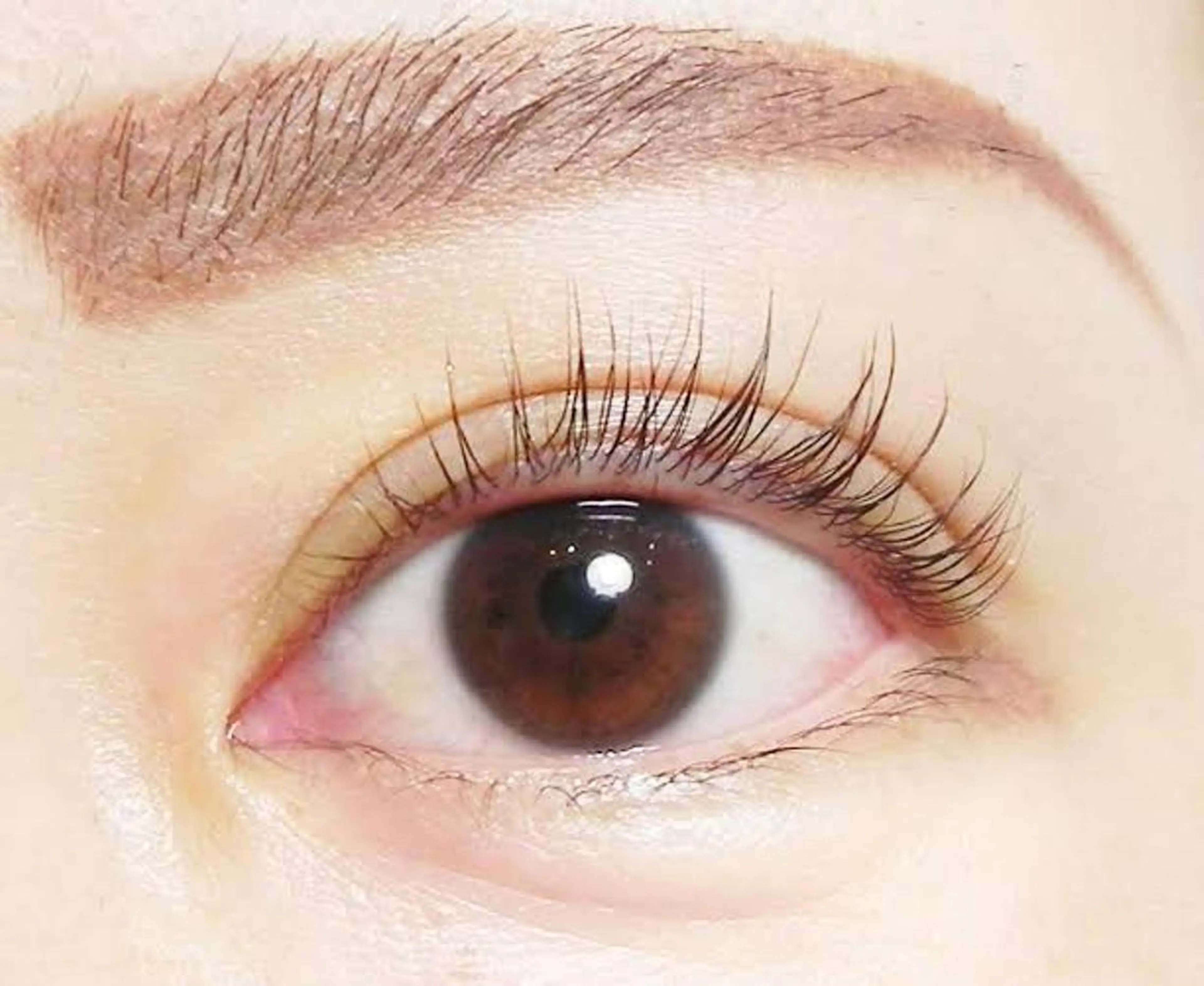 マツエク・マツパ eyelash salon mu-te所属・C hihoのマツエク・マツパデザイン