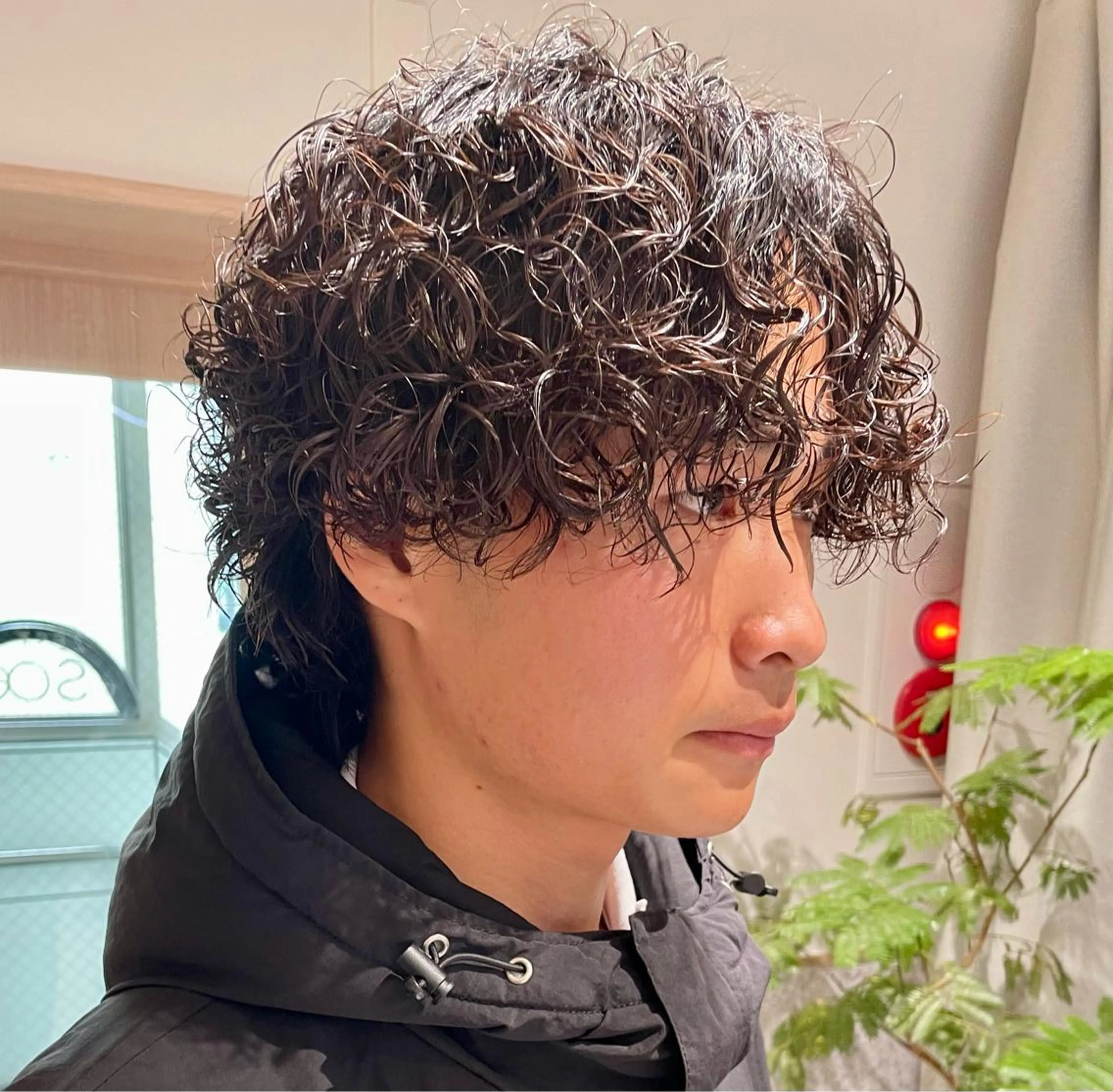 メンズ メンズパーマ プードルパーマ プードルパーマ カット パーマ メンズ指名no'1 佐藤　亘のヘアスタイル