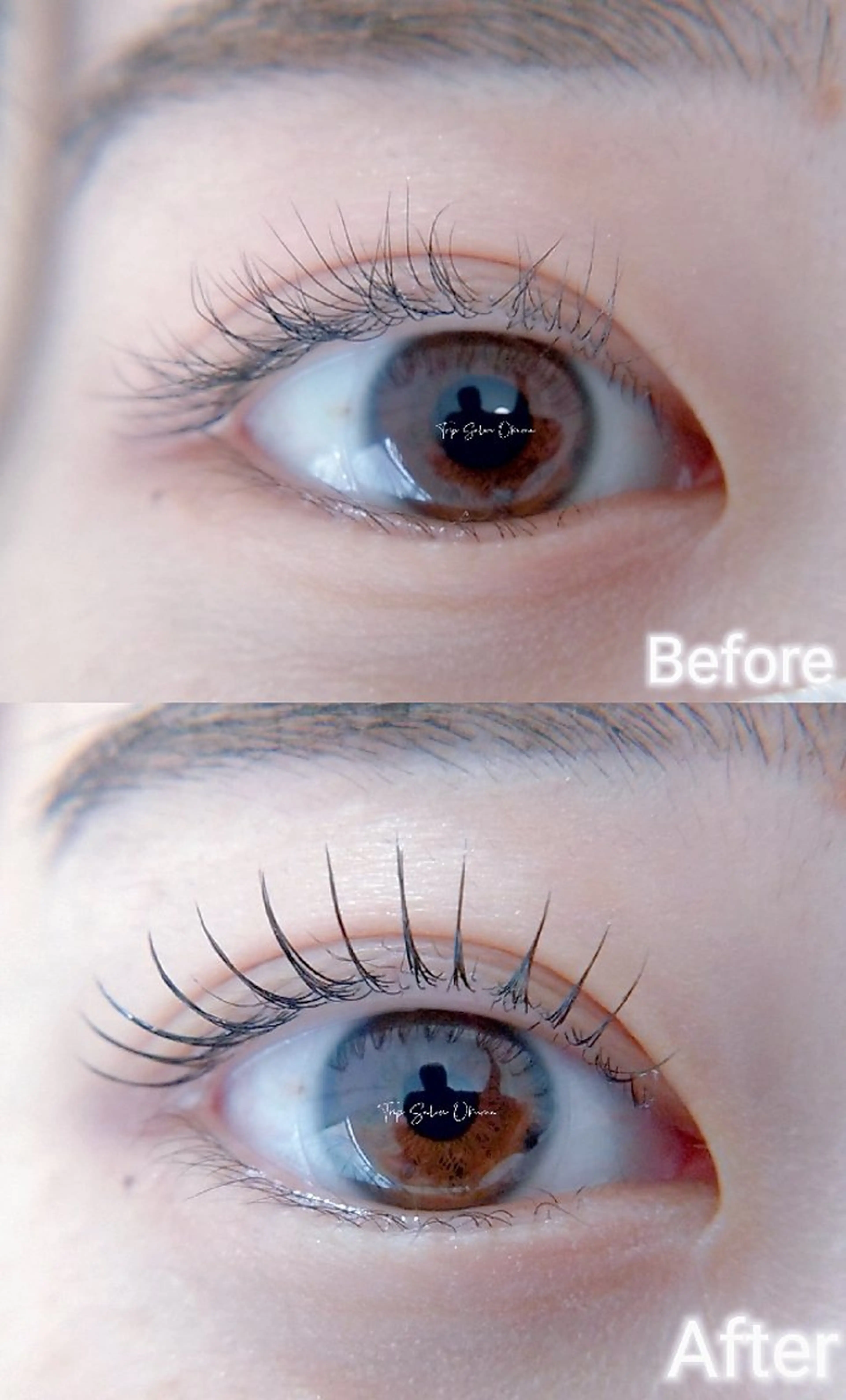 マツエク・マツパ Trip Salon Okuma所属・❤LEDまつぱ❤那覇 🅿️有、泉崎のマツエク・マツパデザイン