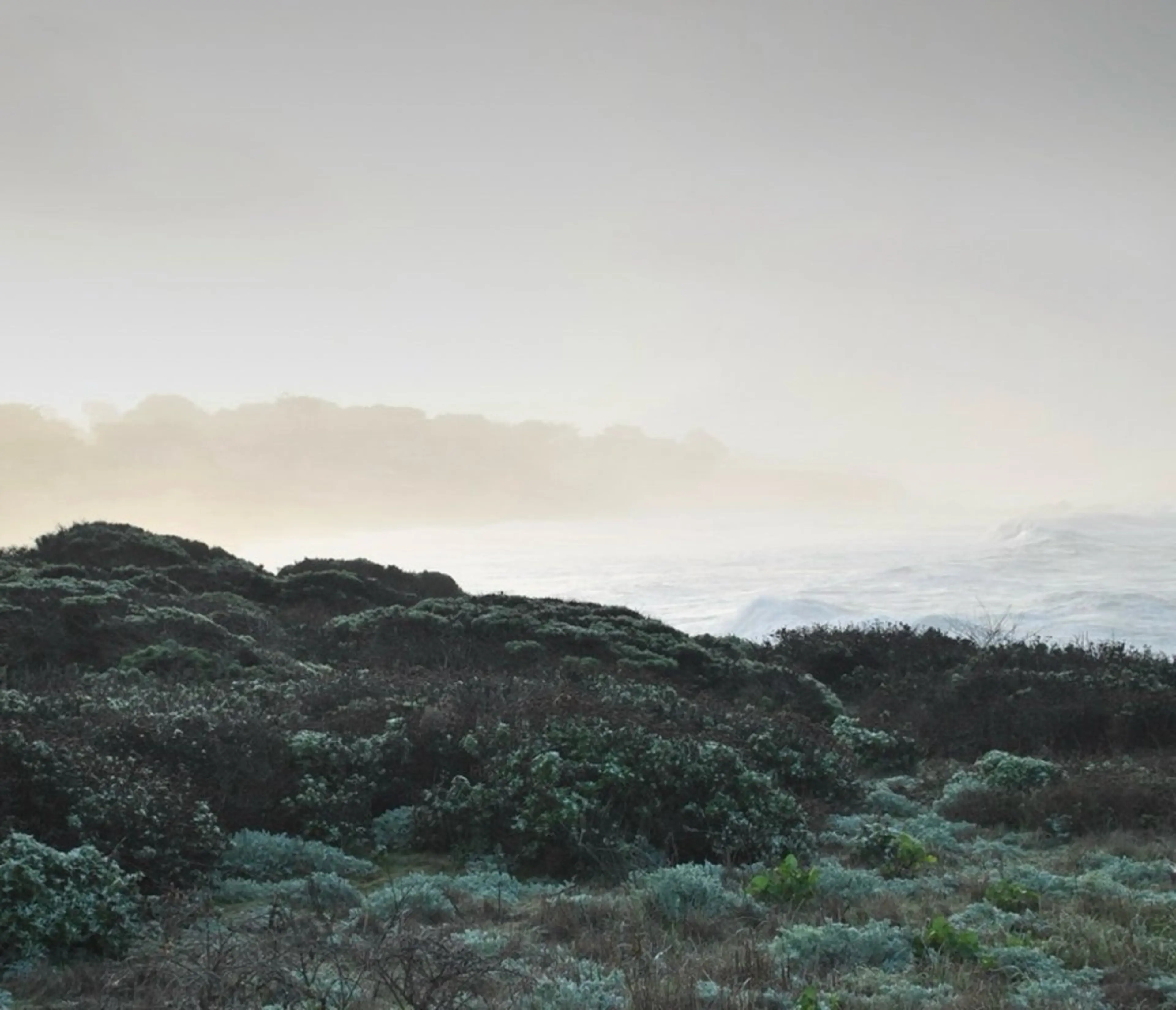 ネイル nnail Natsumiのネイルデザイン