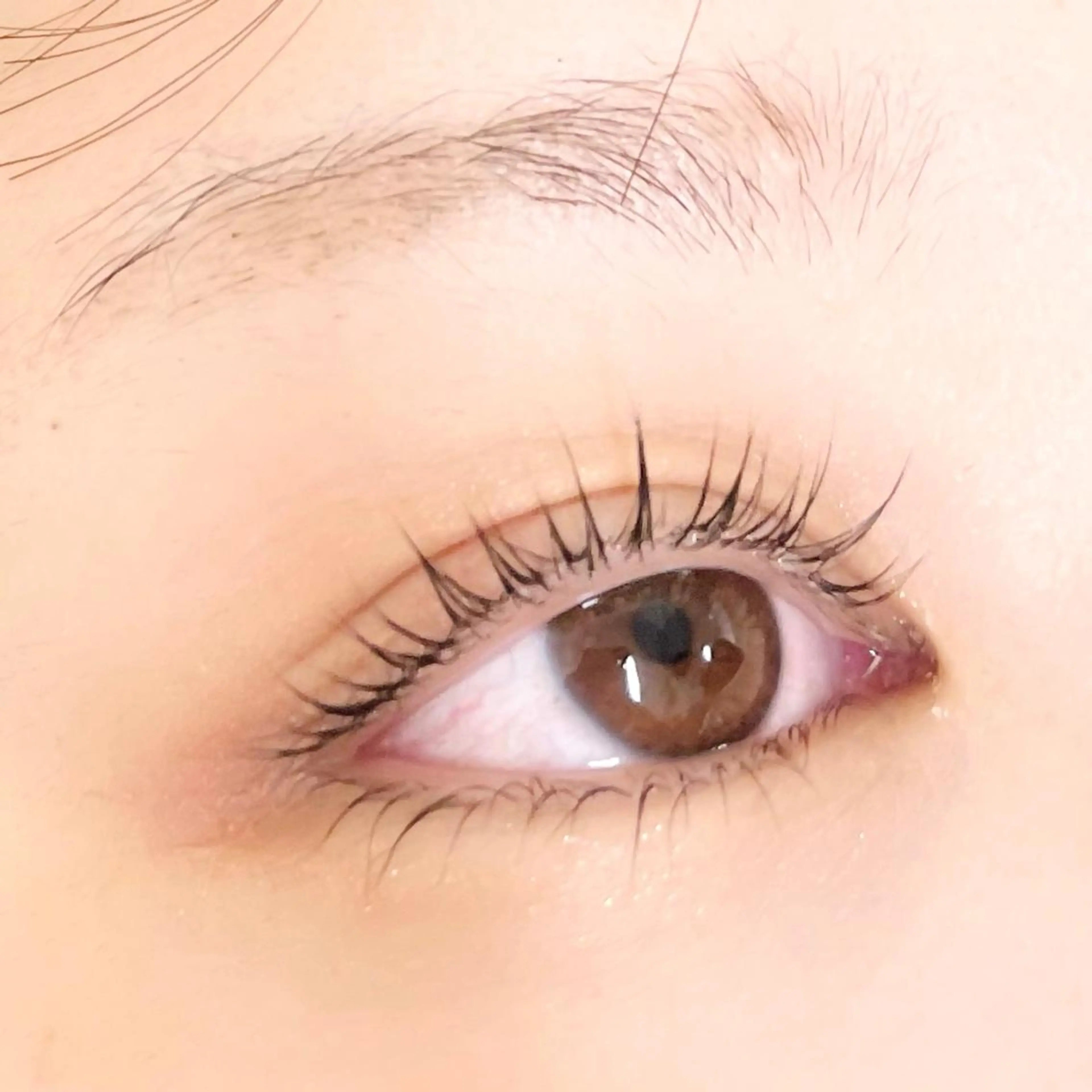 マツエク・マツパ Q-LASH柏所属・🫧Q-LASH柏 ARAI🫧のマツエク・マツパデザイン