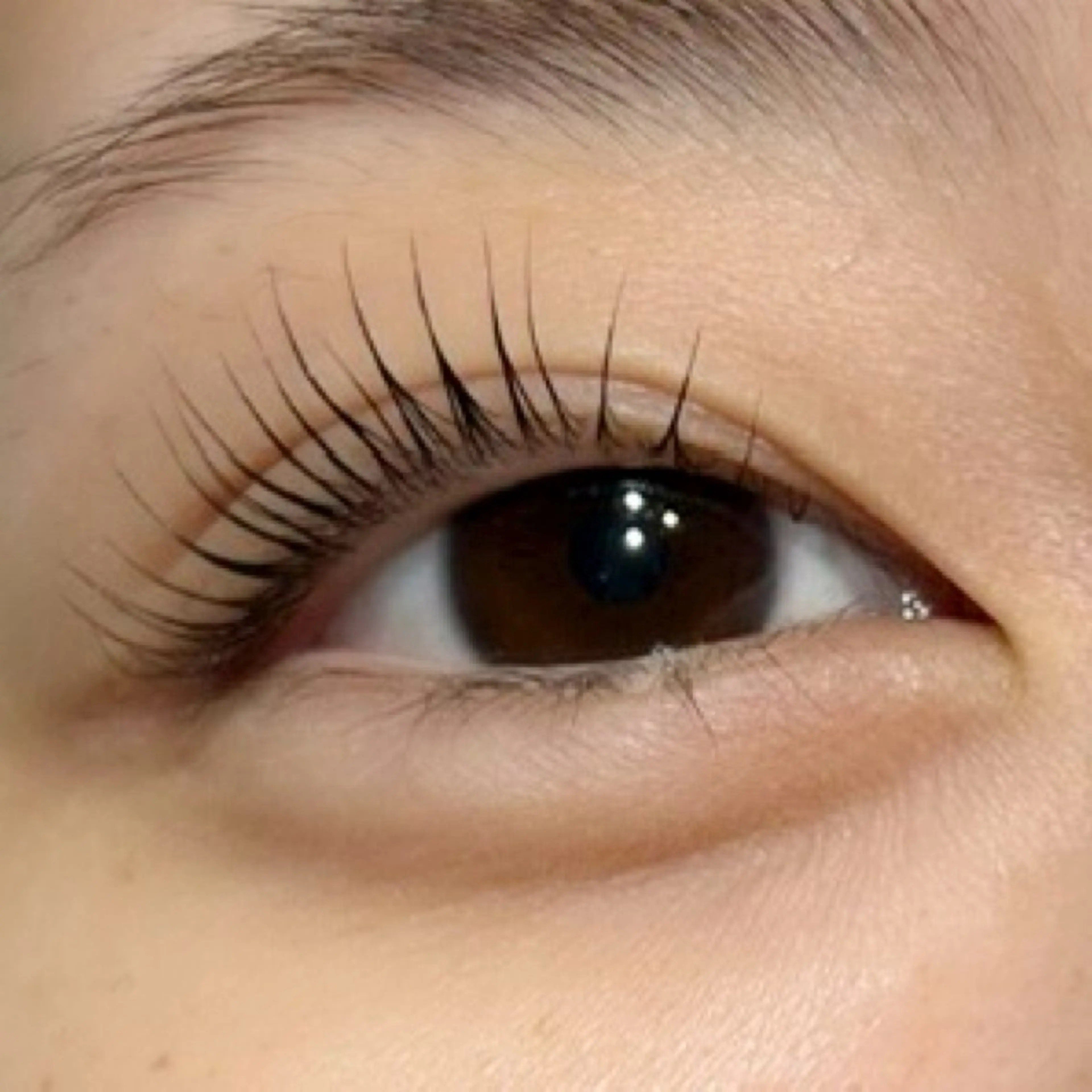 マツエク・マツパ パリジェンヌラッシュリフト siieyelash 鷺沼店HONOKAのマツエク・マツパデザイン