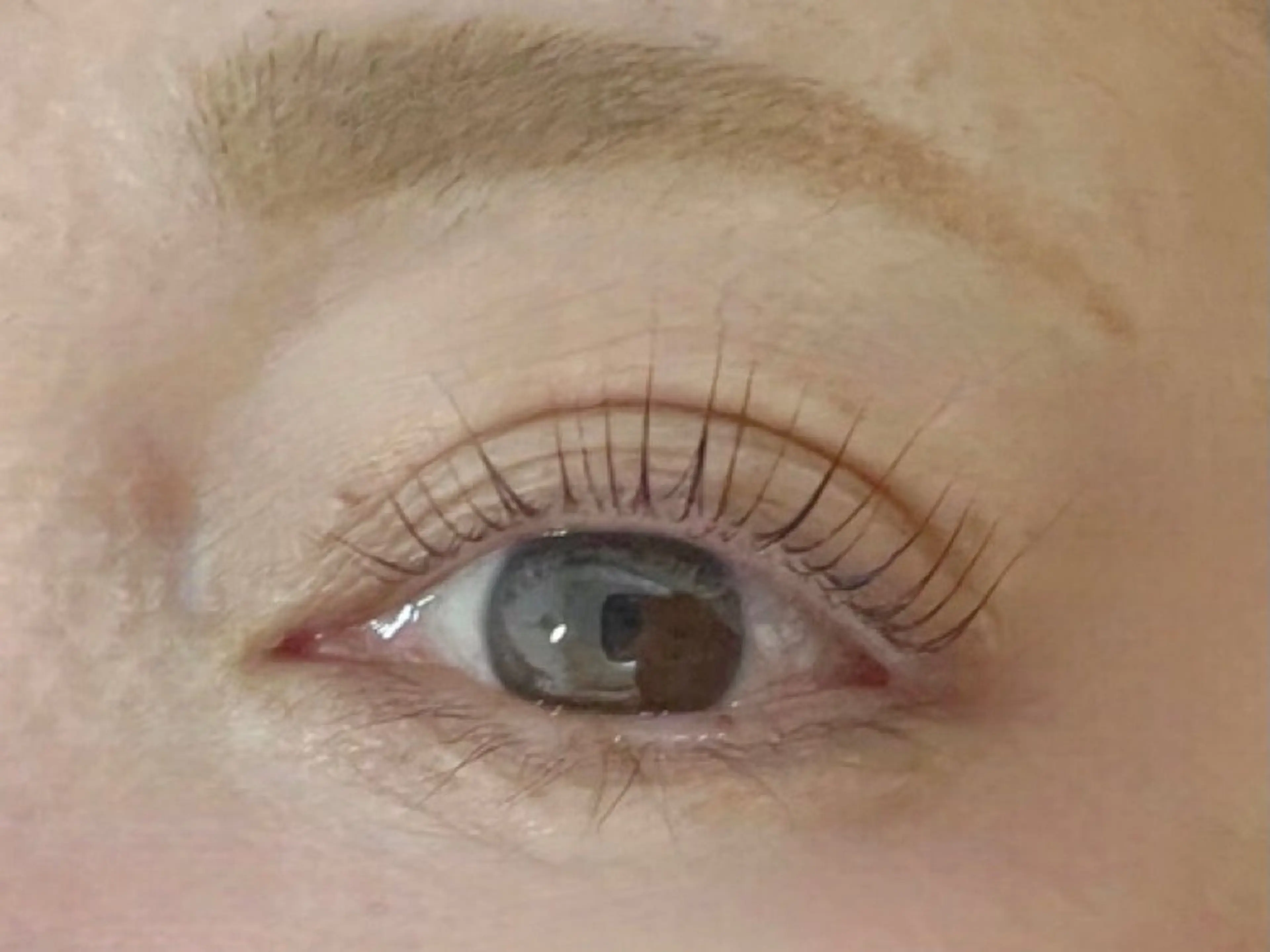 マツエク・マツパ パリジェンヌラッシュリフト マツパ ヘア&リラックスティーフ所属・tief（ティーフ） 佐々木のマツエク・マツパデザイン