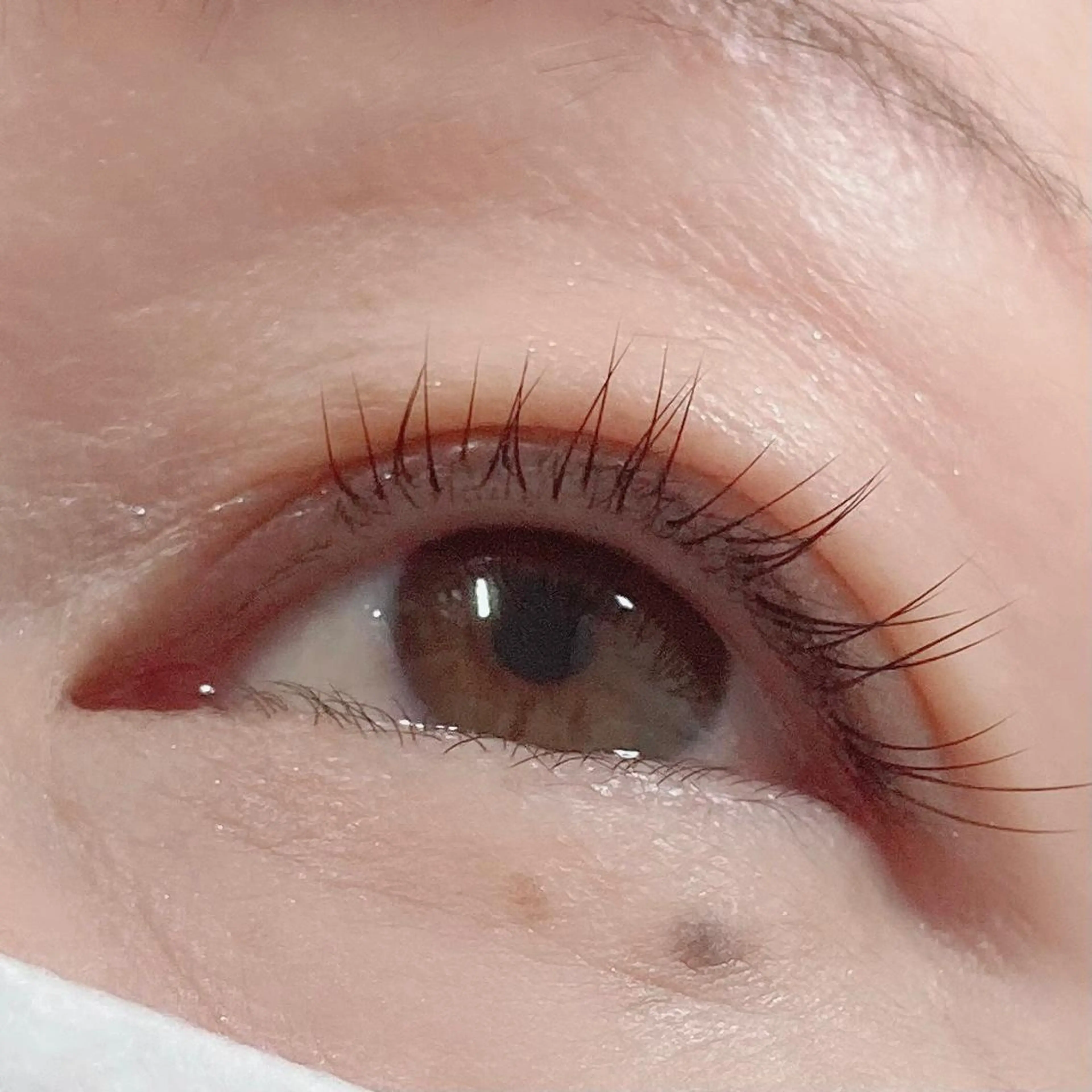 マツエク・マツパ orihara mihoの眉毛・アイブロウイメージ