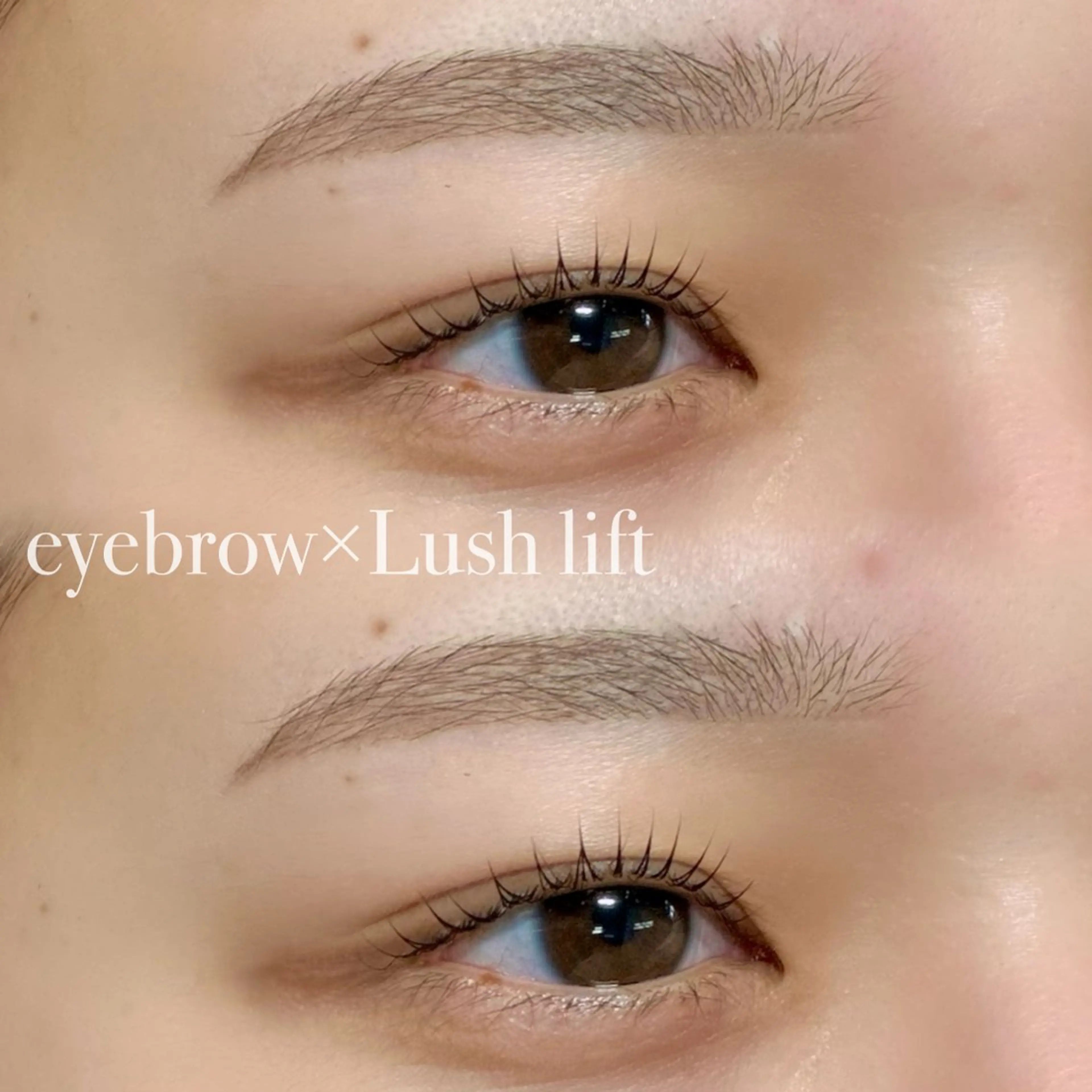 【セットメニュー🌟】ラッシュリフトorパリジェンヌ×美眉スタイリング（アイブロウWax）の写真