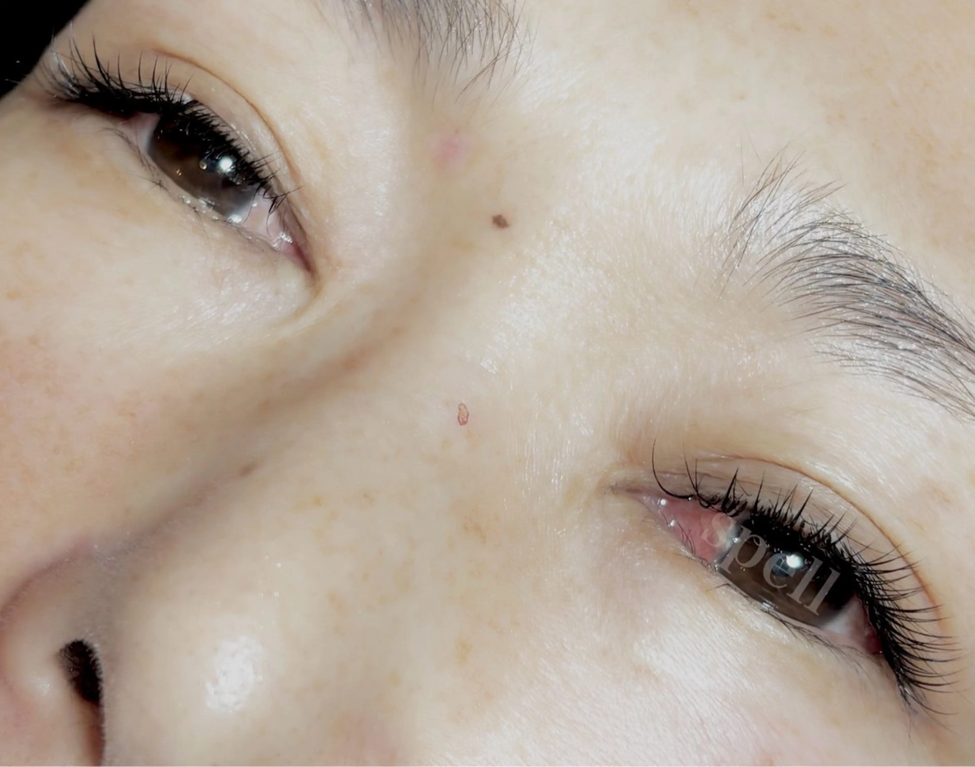 マツエク・マツパ マツエク spell_eyelash所属・spell eyelashのマツエク・マツパデザイン