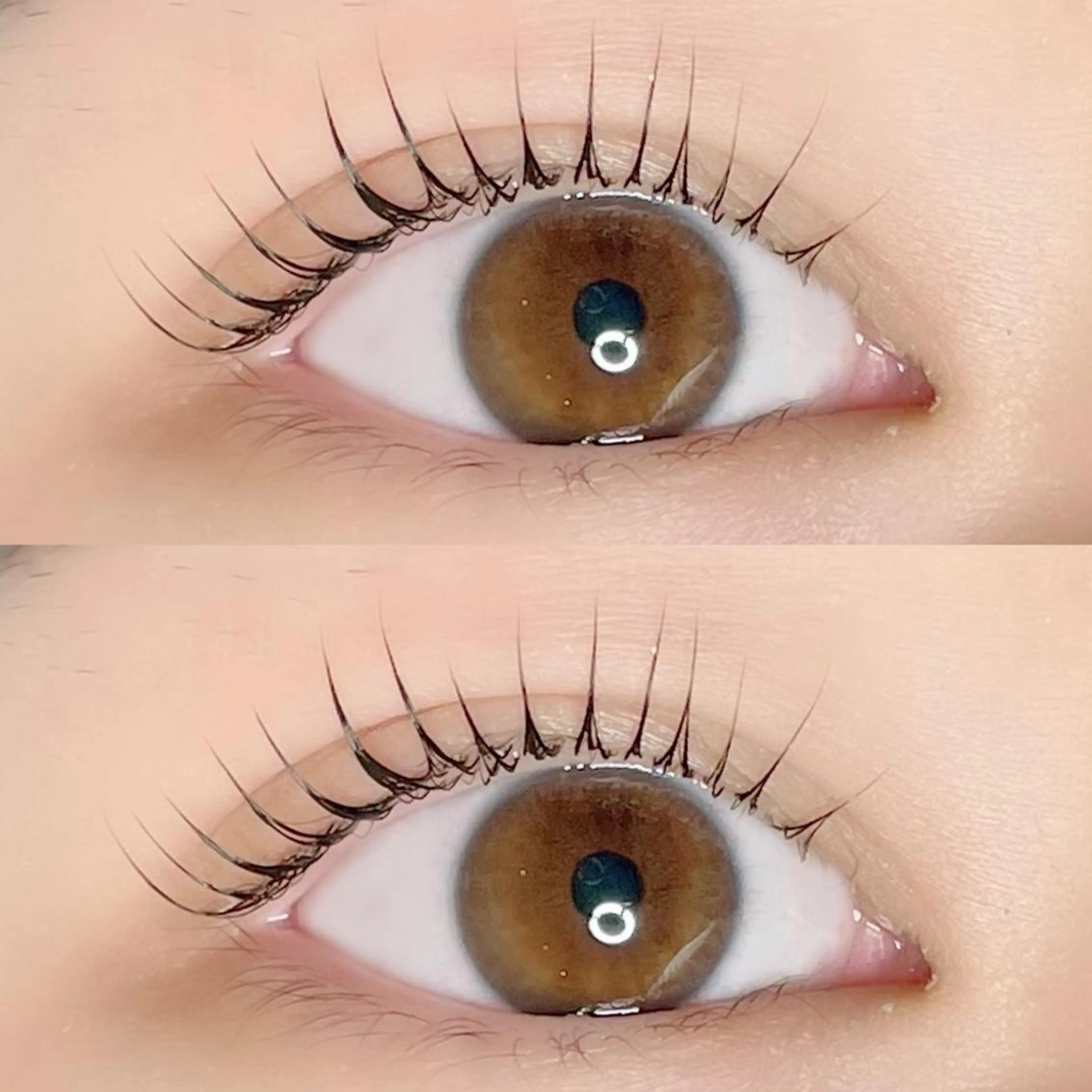 マツエク・マツパ マツパ AYLASH🧡 猪又のマツエク・マツパデザイン