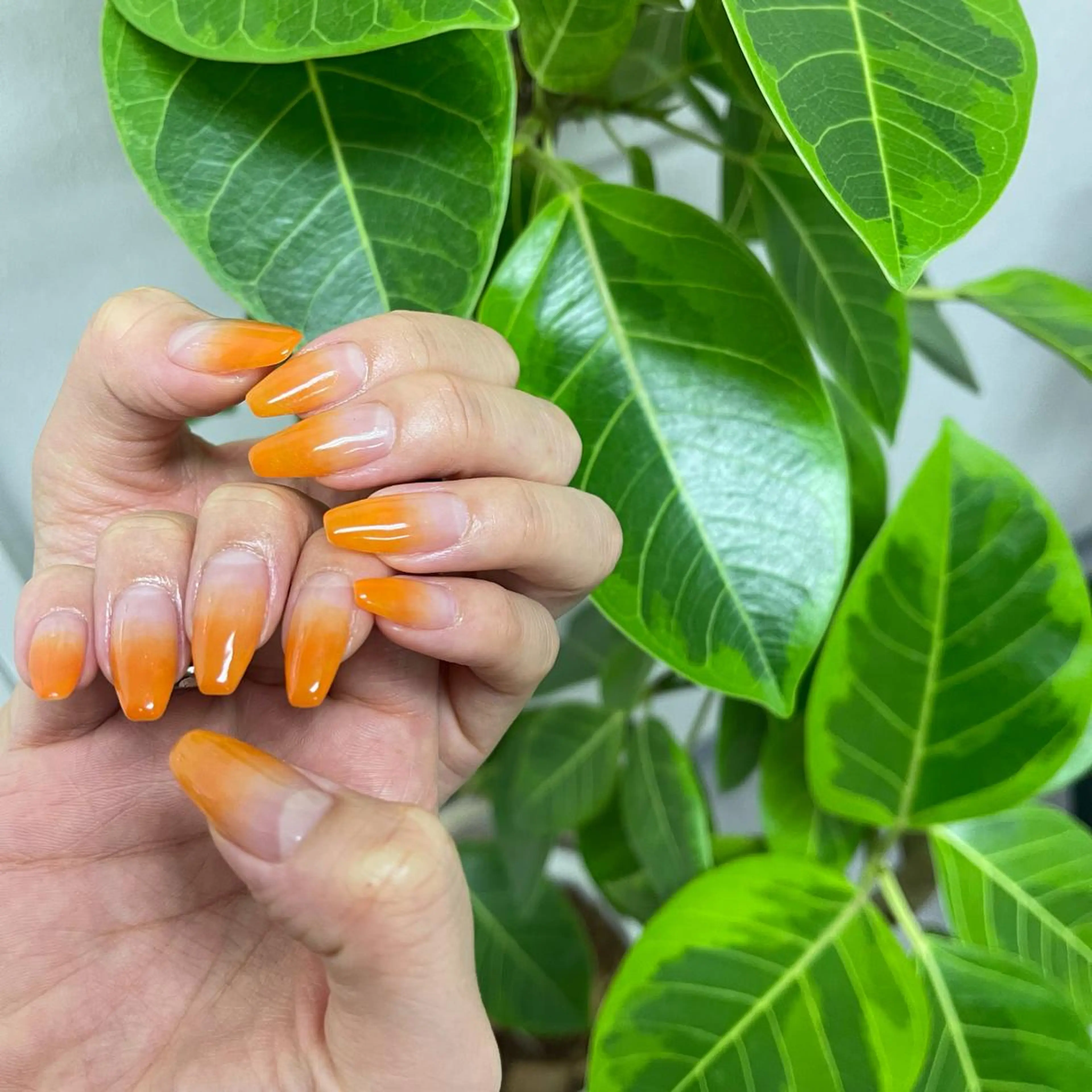 ネイル 湘南ネイルサロン CHINATSUのネイルデザイン