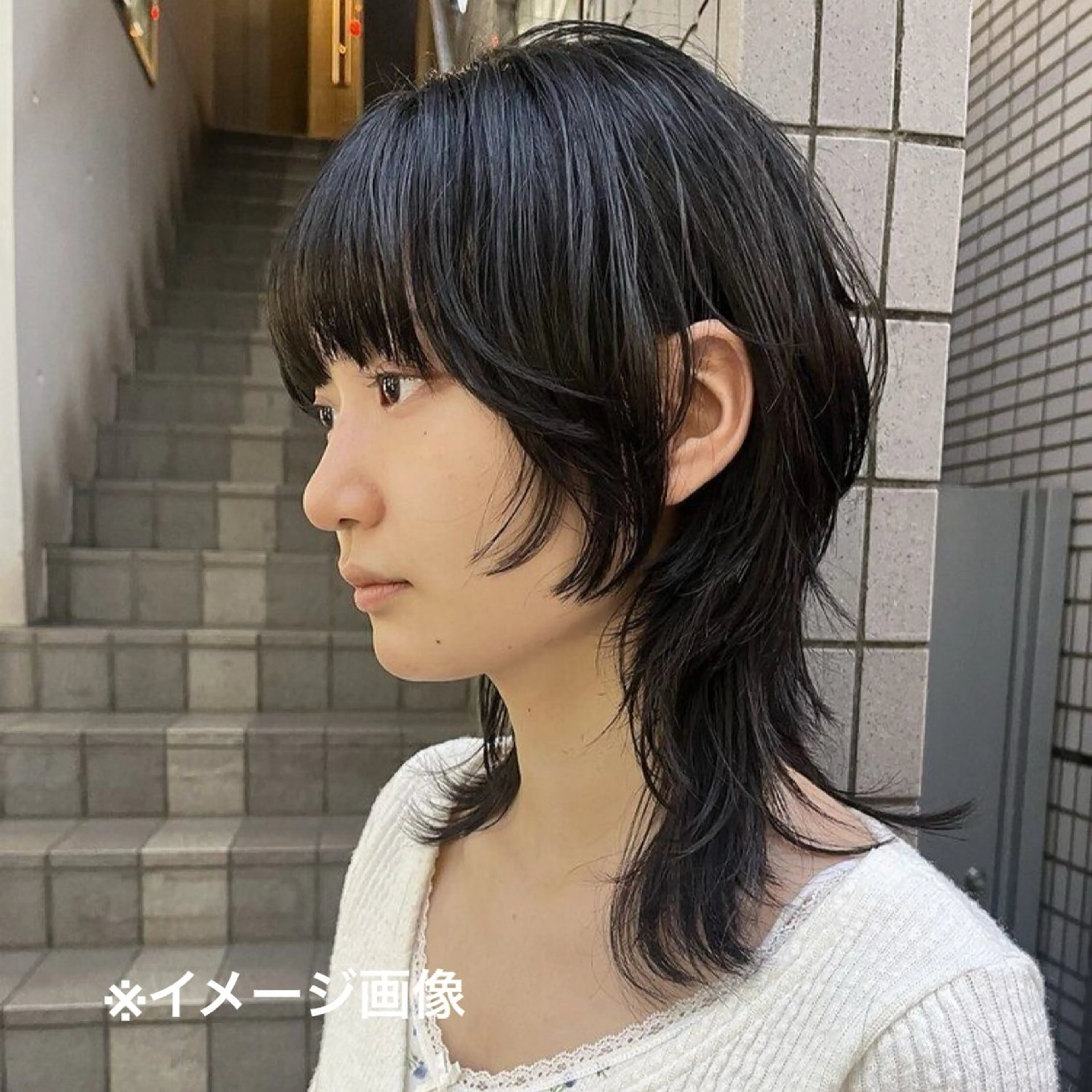 【カットモデル】ウルフフリースタイルの写真