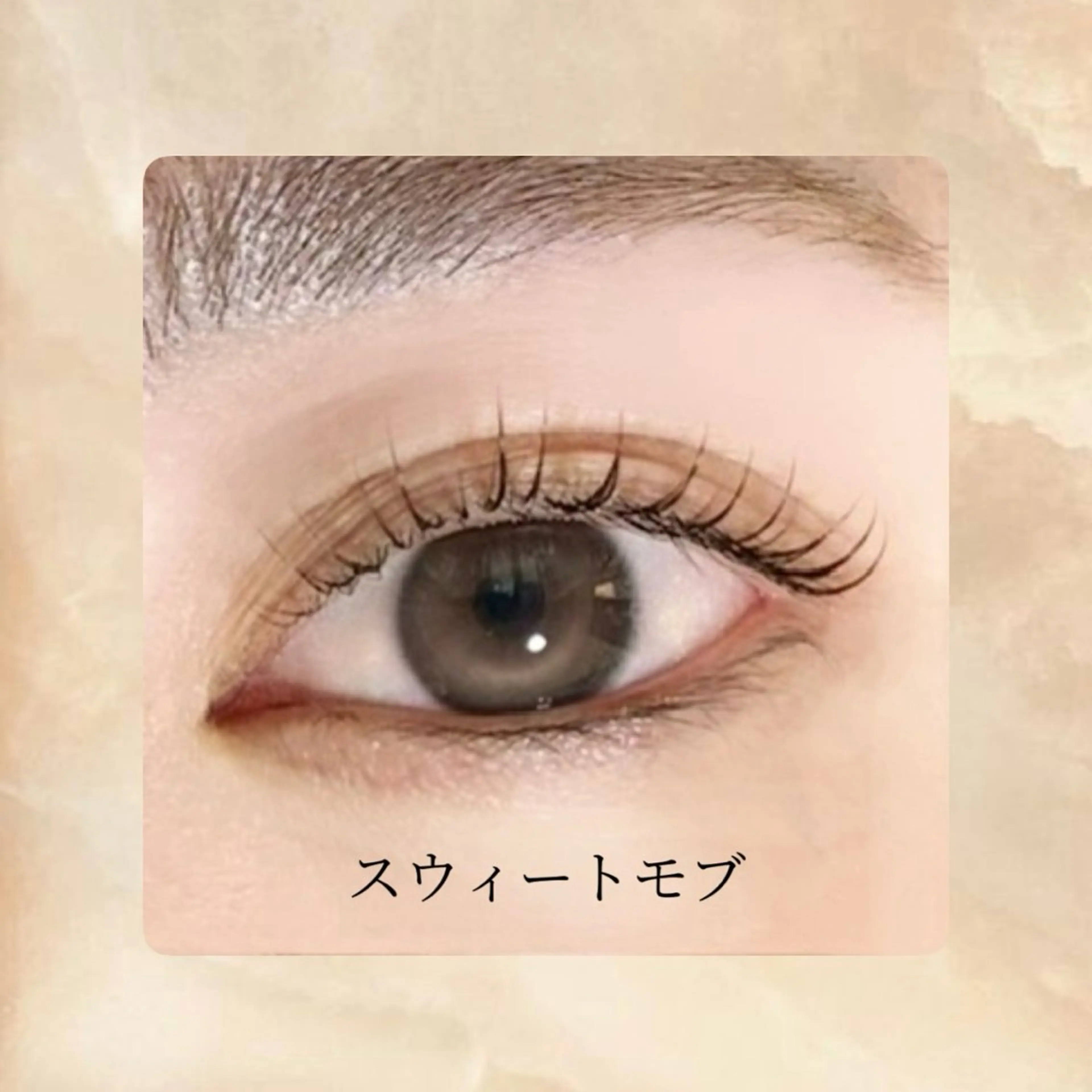 【まつげパーマ🌟ラウンド】スウィートモブ ¥3,480の写真