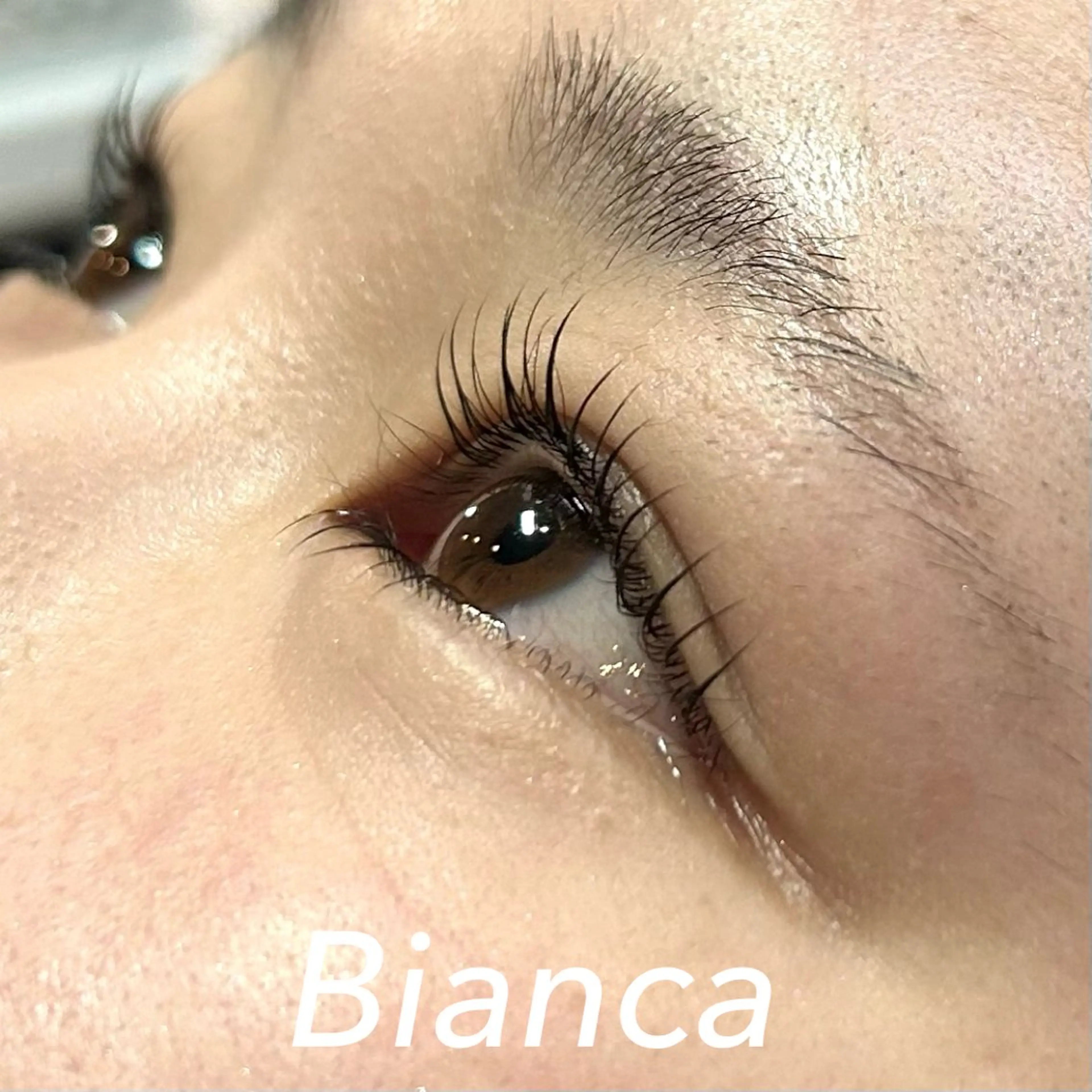 マツエク・マツパ フラットラッシュ パリジェンヌラッシュリフト まつげパーマ マツパ Bianca 市ヶ谷 森川‪ 💗のマツエク・マツパデザイン