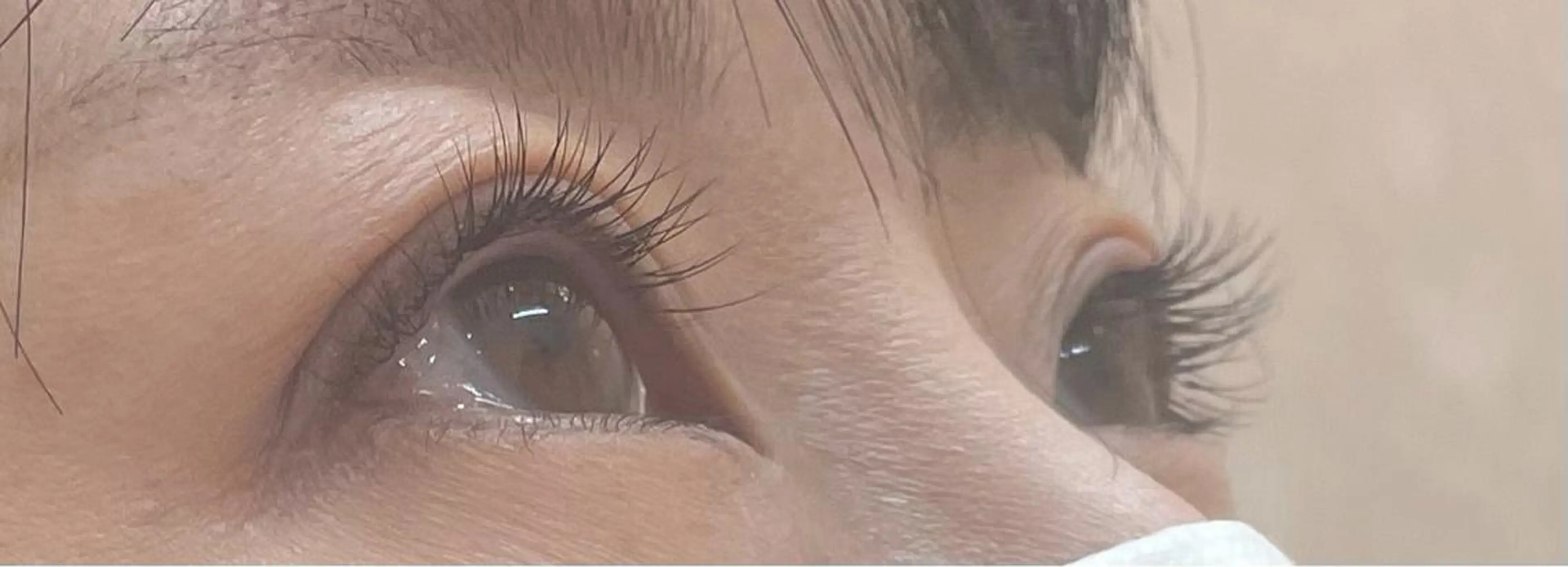 ใใใจใฏใปใใใ ใใใจใฏ ๐๐๐๐๐ ๐ฆ๐ใฎใใใจใฏใปใใใใใถใคใณ