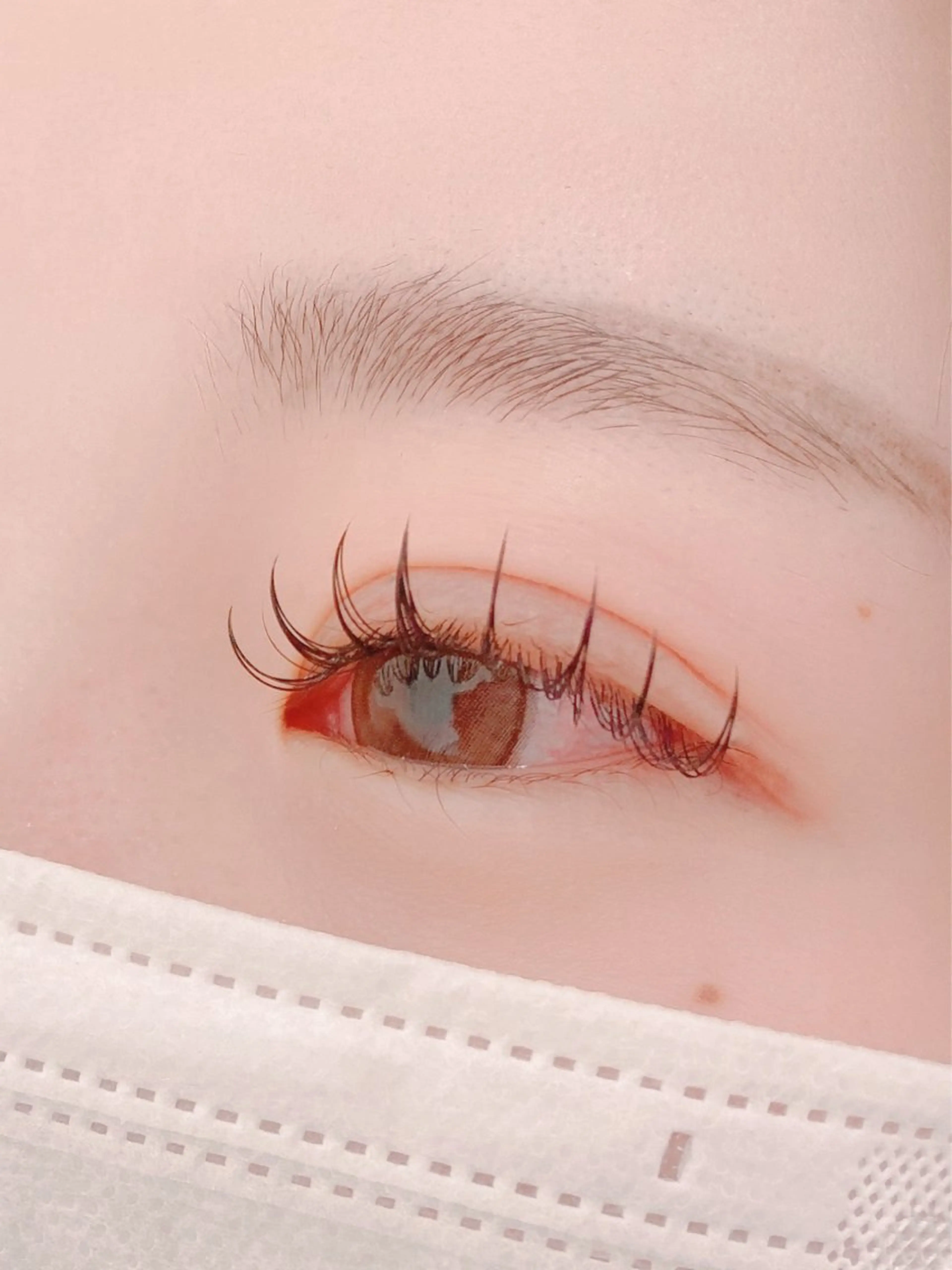 フラットラッシュ120本の写真