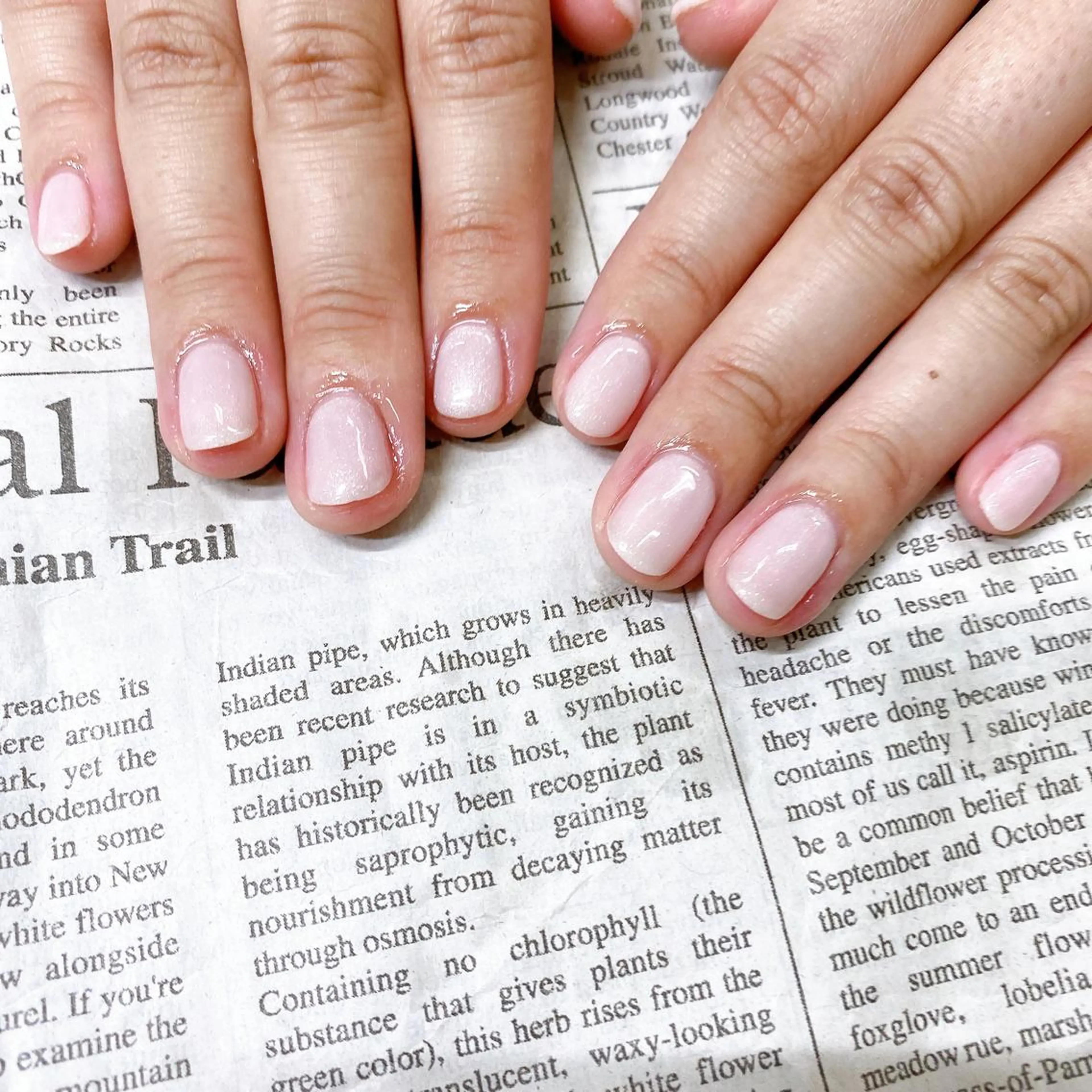 ネイル ジェルネイル ワンカラーネイル Grace naoのマツエク・マツパデザイン