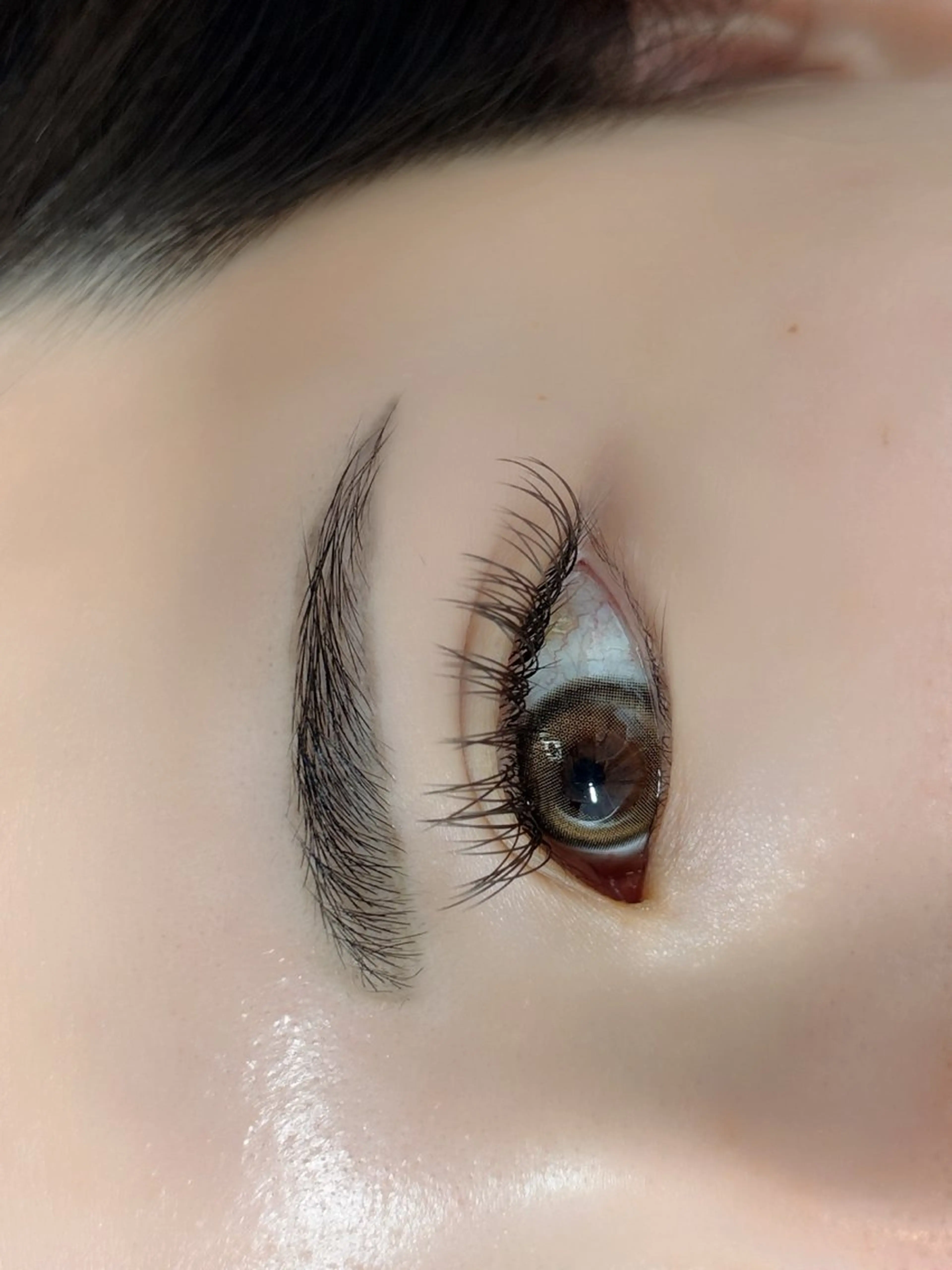 フラットラッシュ　120本の写真