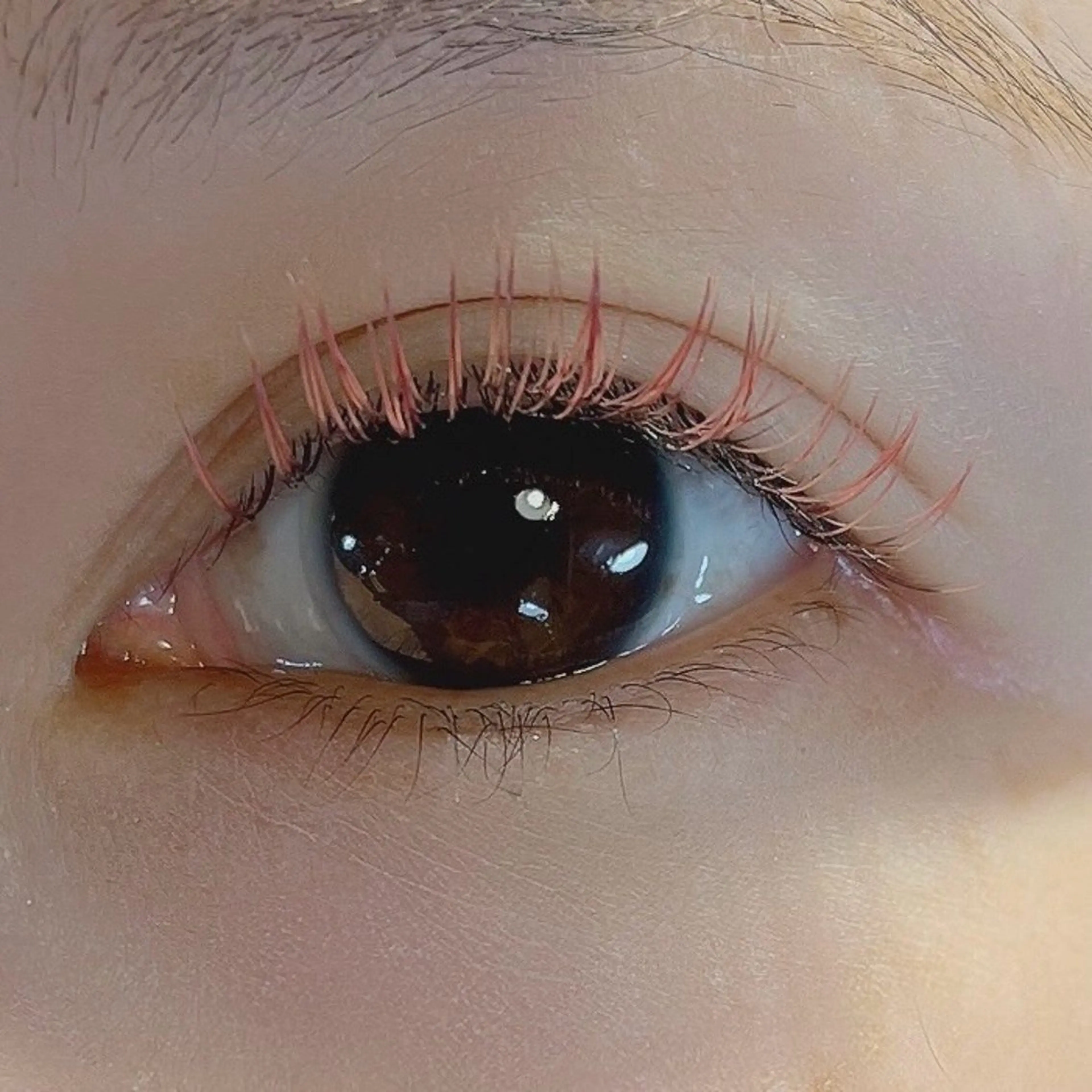 マツエク・マツパ カラーマツエク マツエク By color  EYE&NAIL所属・BY  COLOR eyedesinのマツエク・マツパデザイン