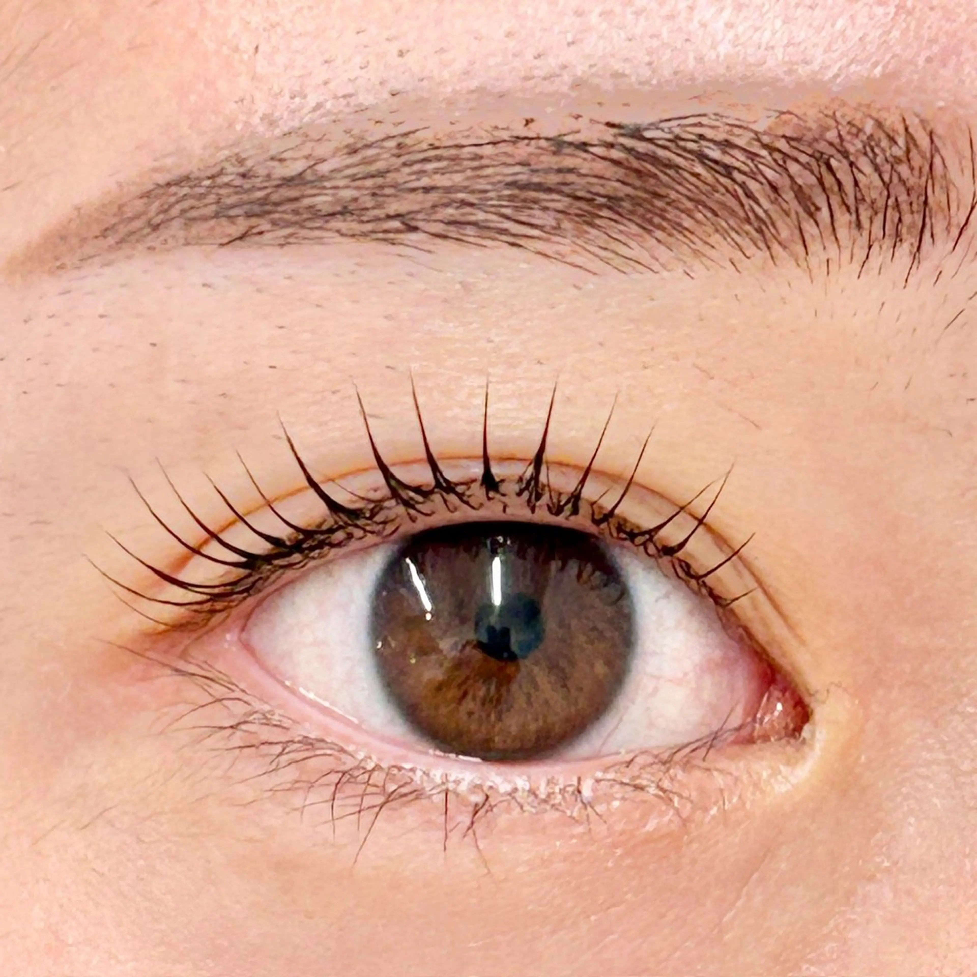 マツエク・マツパ 一重×まつ毛パーマ マツパ BellFlower Aki(眉・まつげ)のマツエク・マツパデザイン