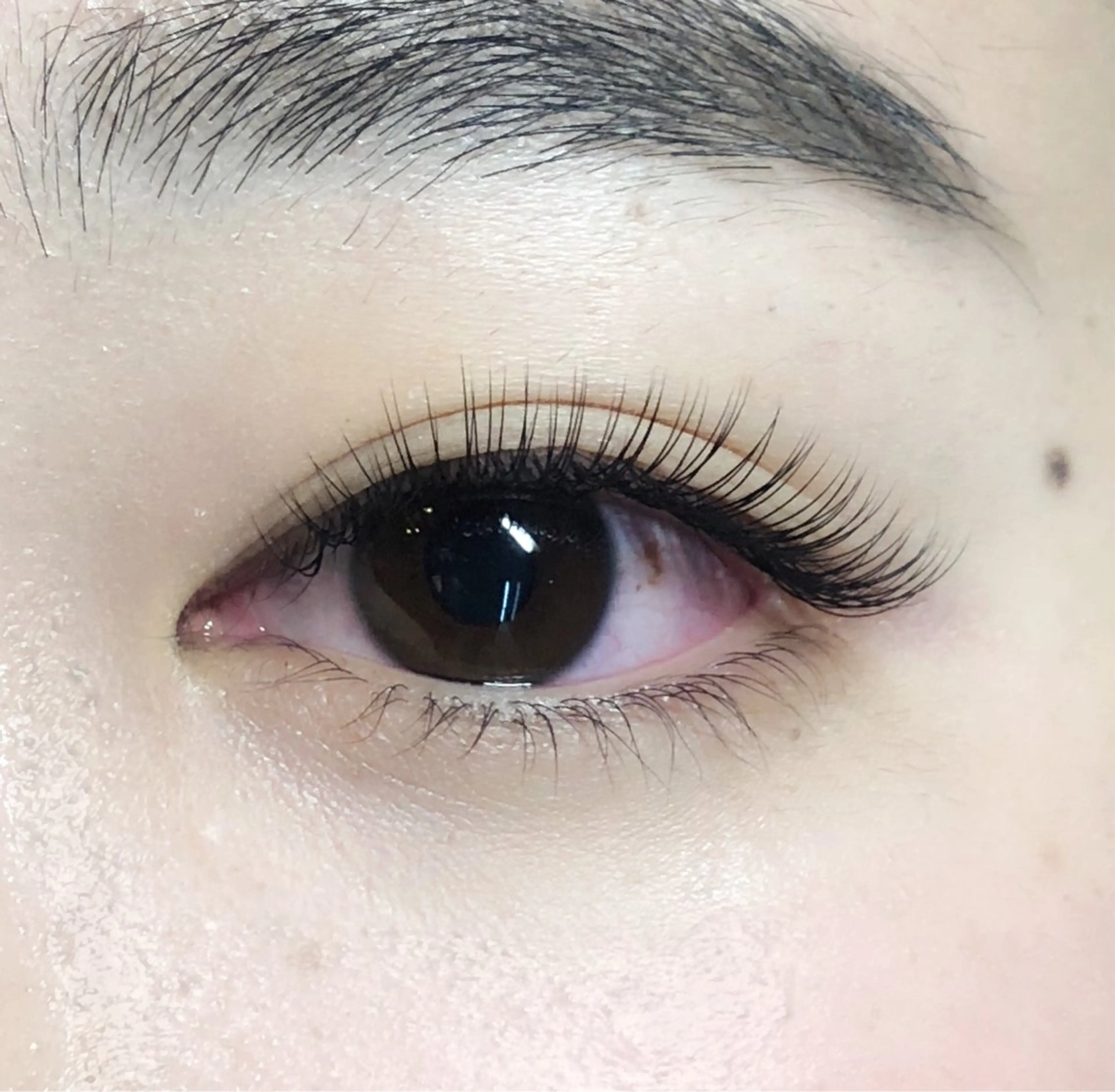 【LEDエクステ】上のみ100本無料モデル※撮影可能な方の写真