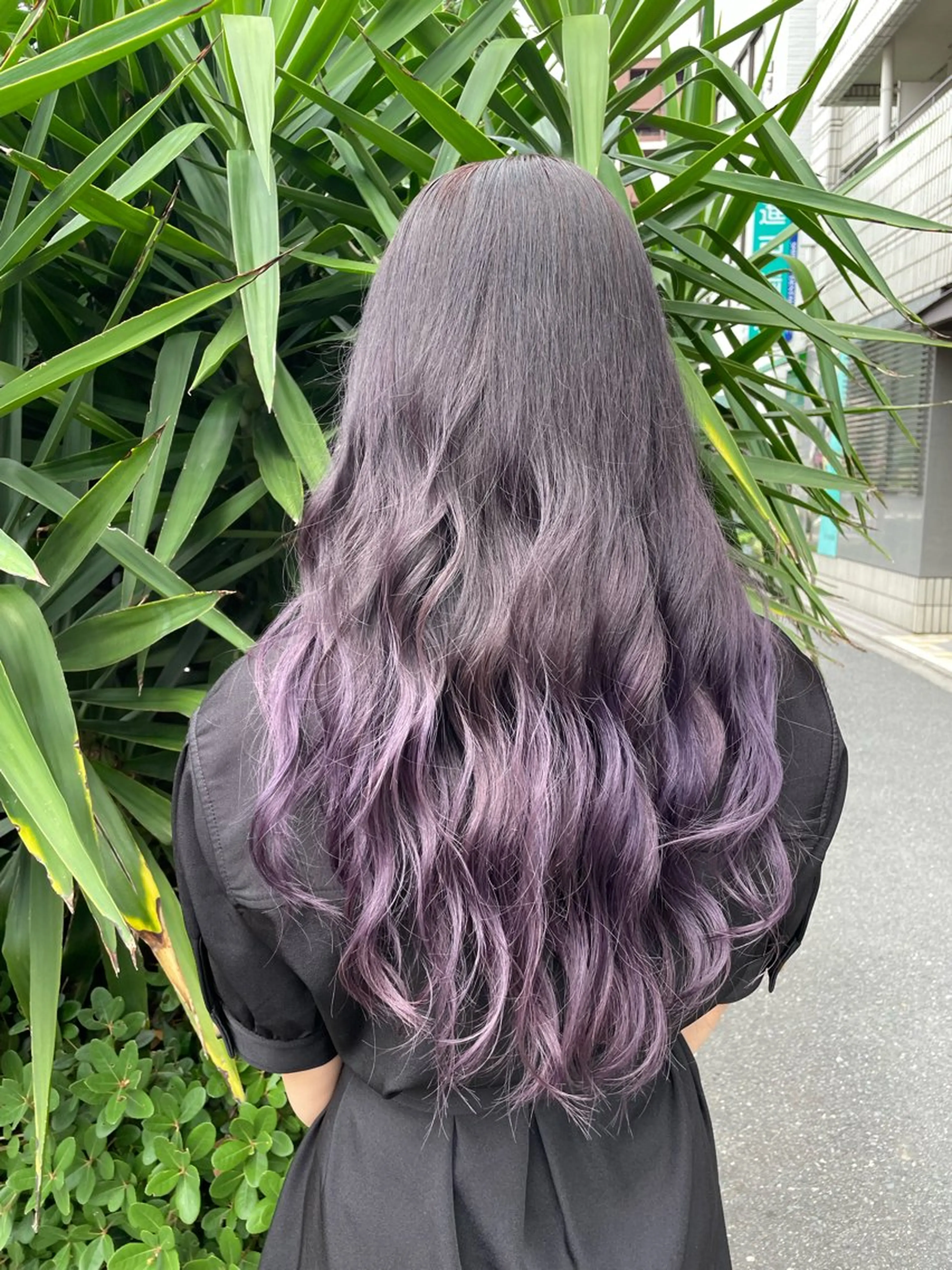 カラー ラベンダーカラー ピンクカラー ズシ ヒカルのヘアスタイル