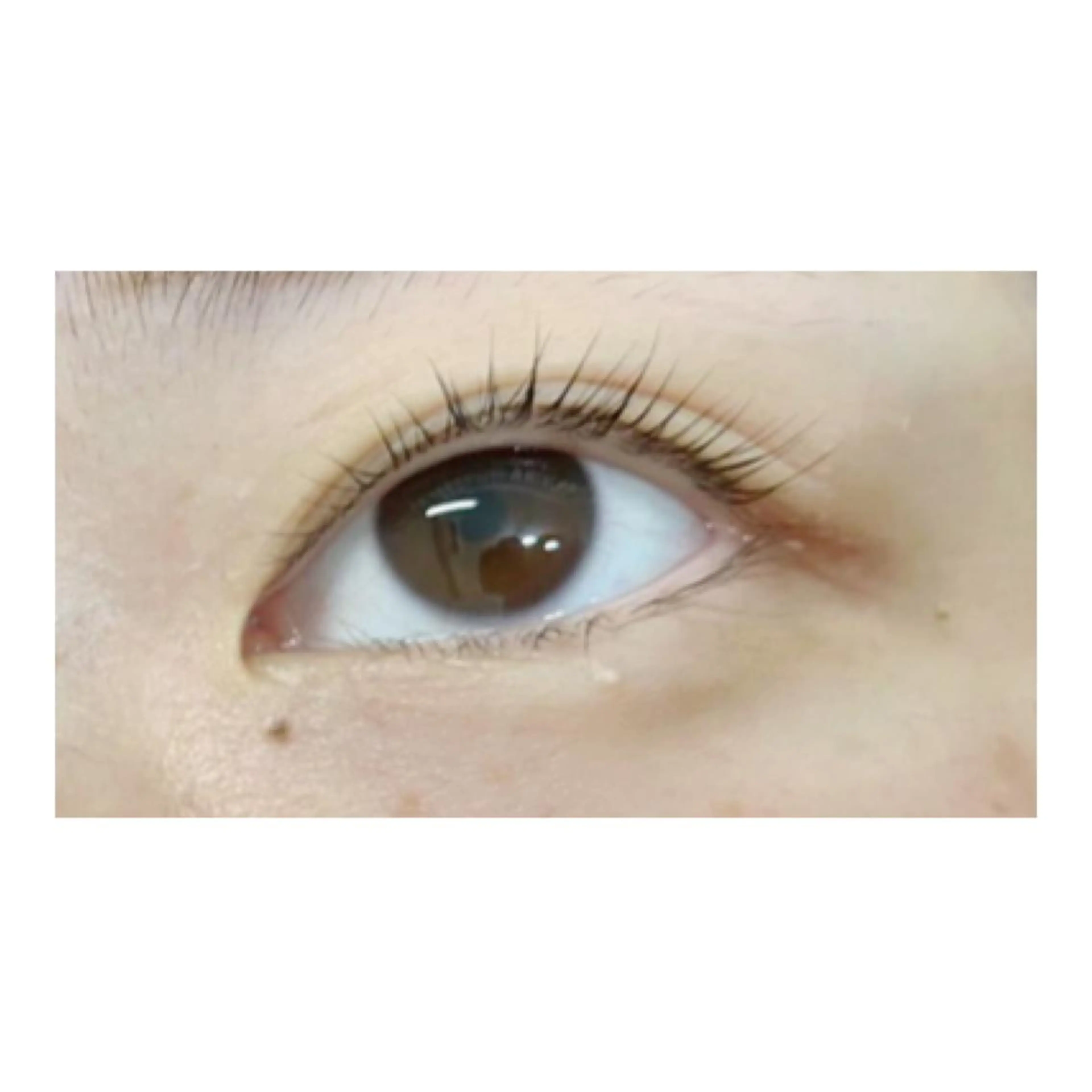 マツエク・マツパ eyelash COCO所属・eyelash COCOのマツエク・マツパデザイン
