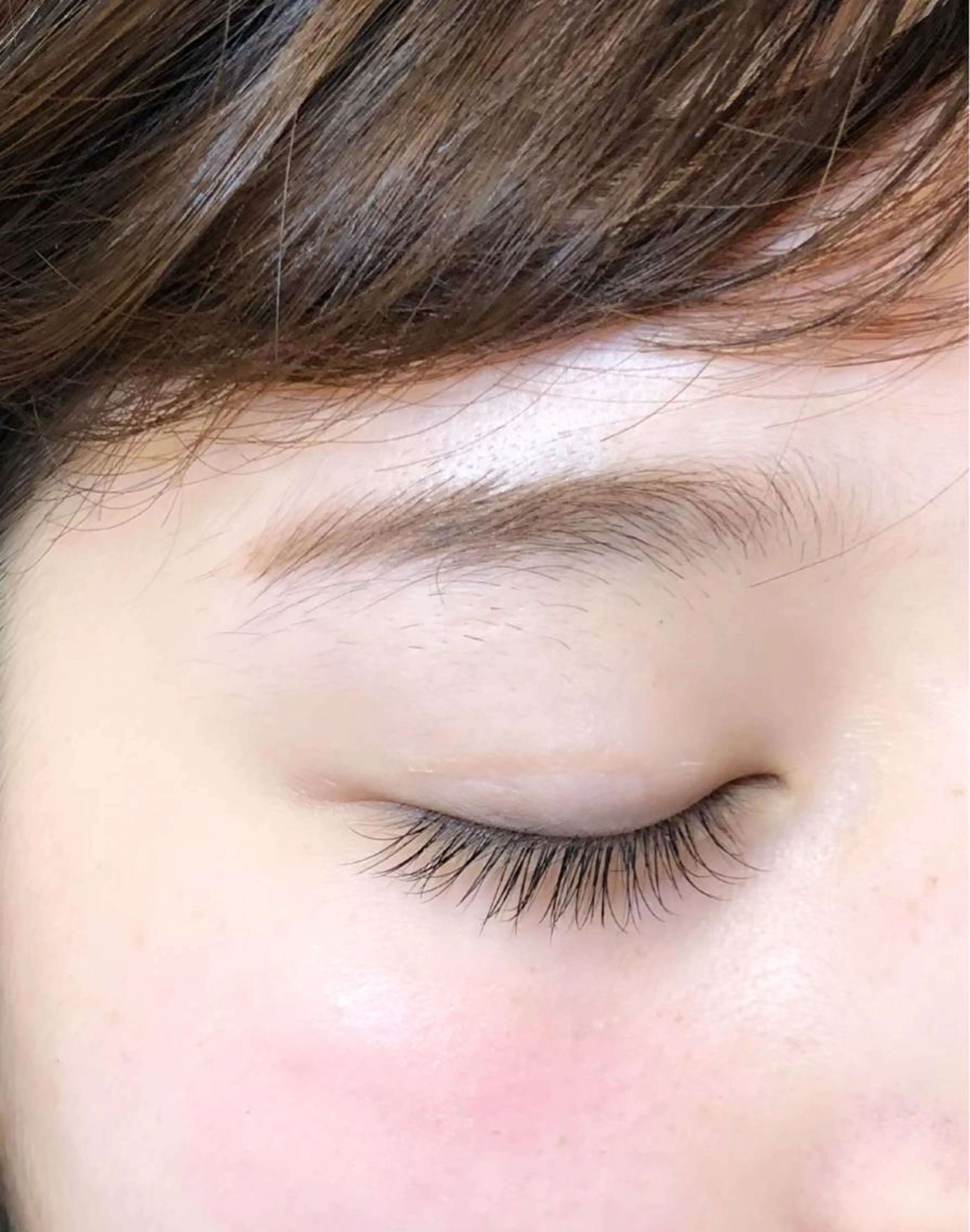 フラットラッシュorセーブル　80本《オフ込》の写真