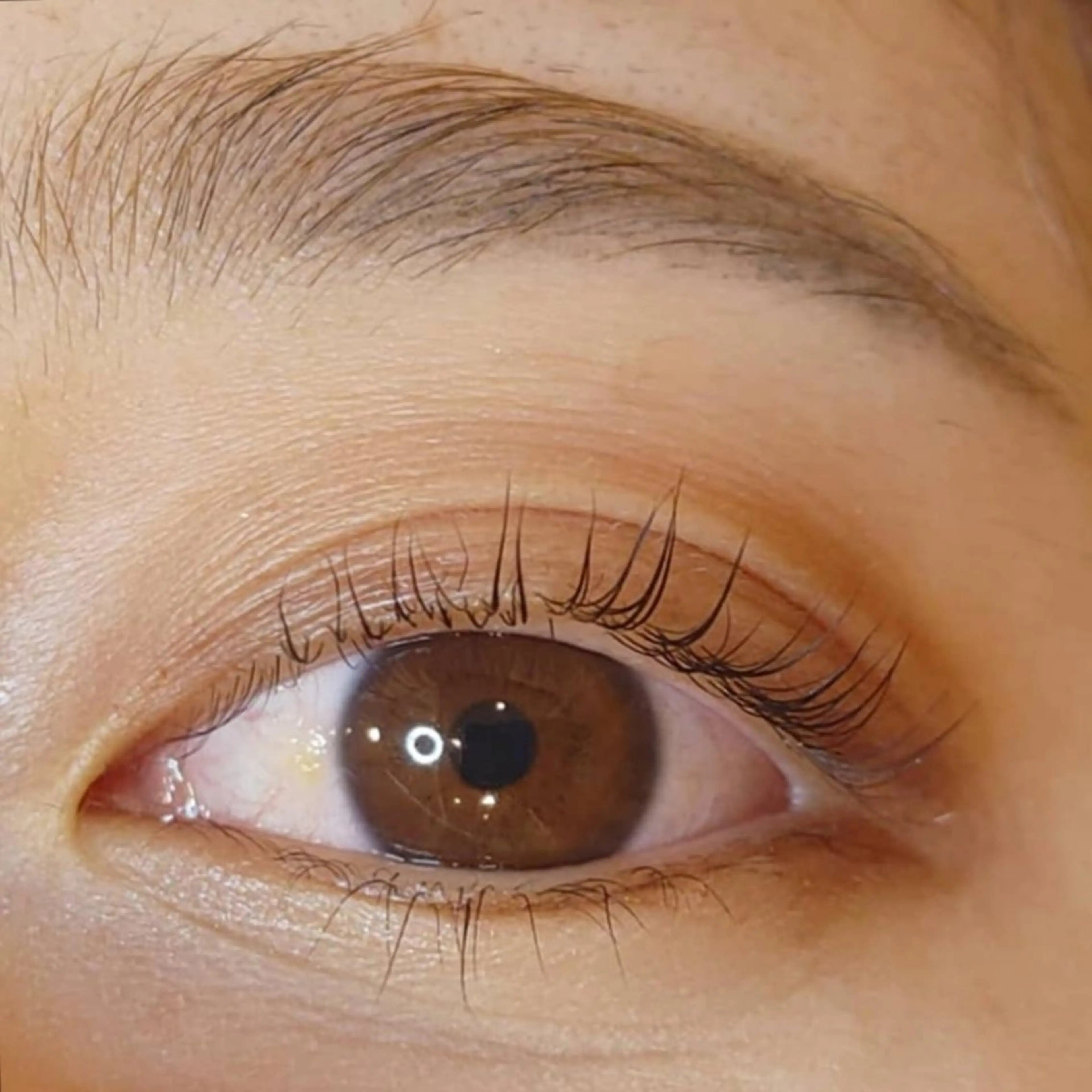 マツエク・マツパ パリジェンヌラッシュリフト マツパ ブランシェ勝川南口店 石原 あゆみのマツエク・マツパデザイン