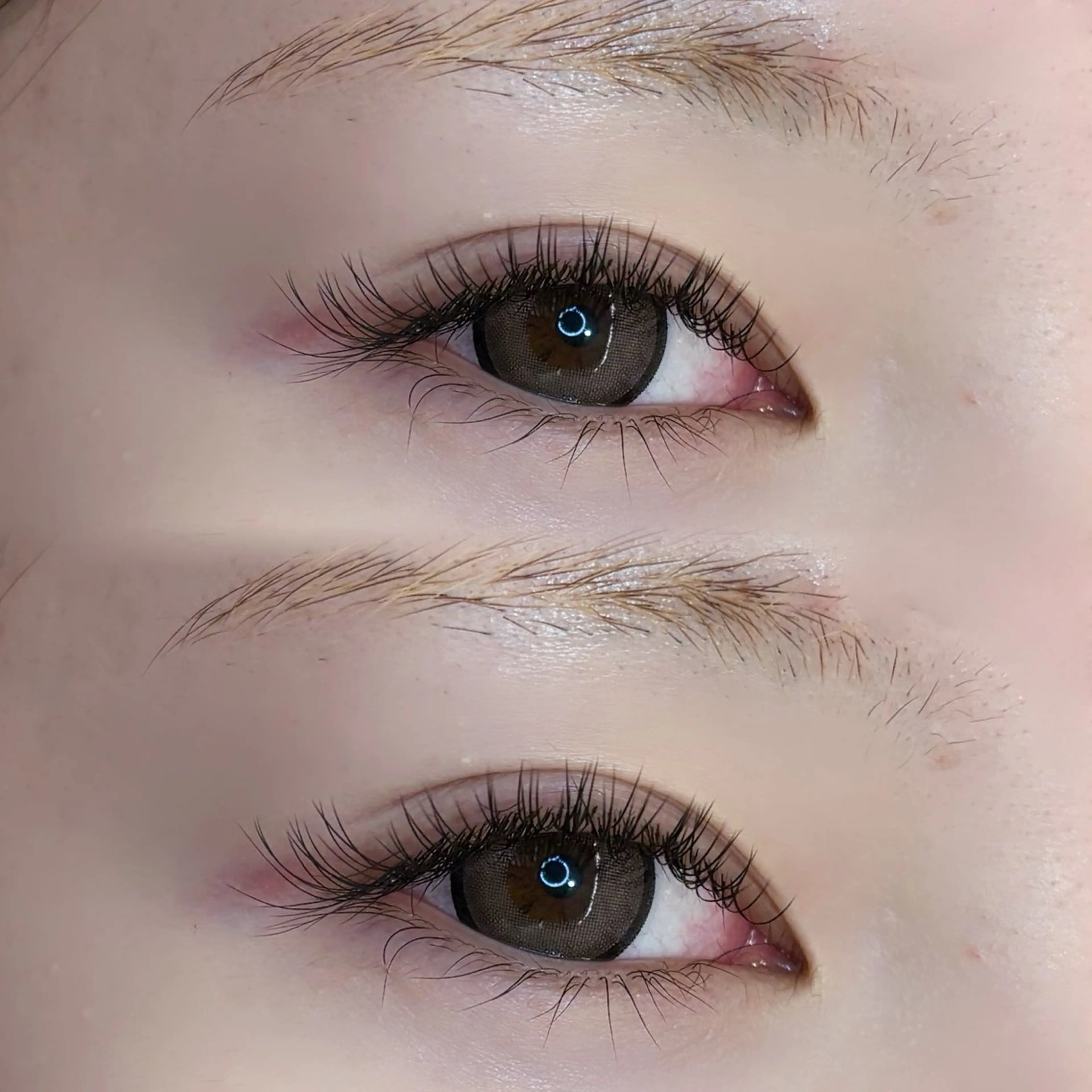 マツエク・マツパ マツエク EYELA さくまのマツエク・マツパデザイン