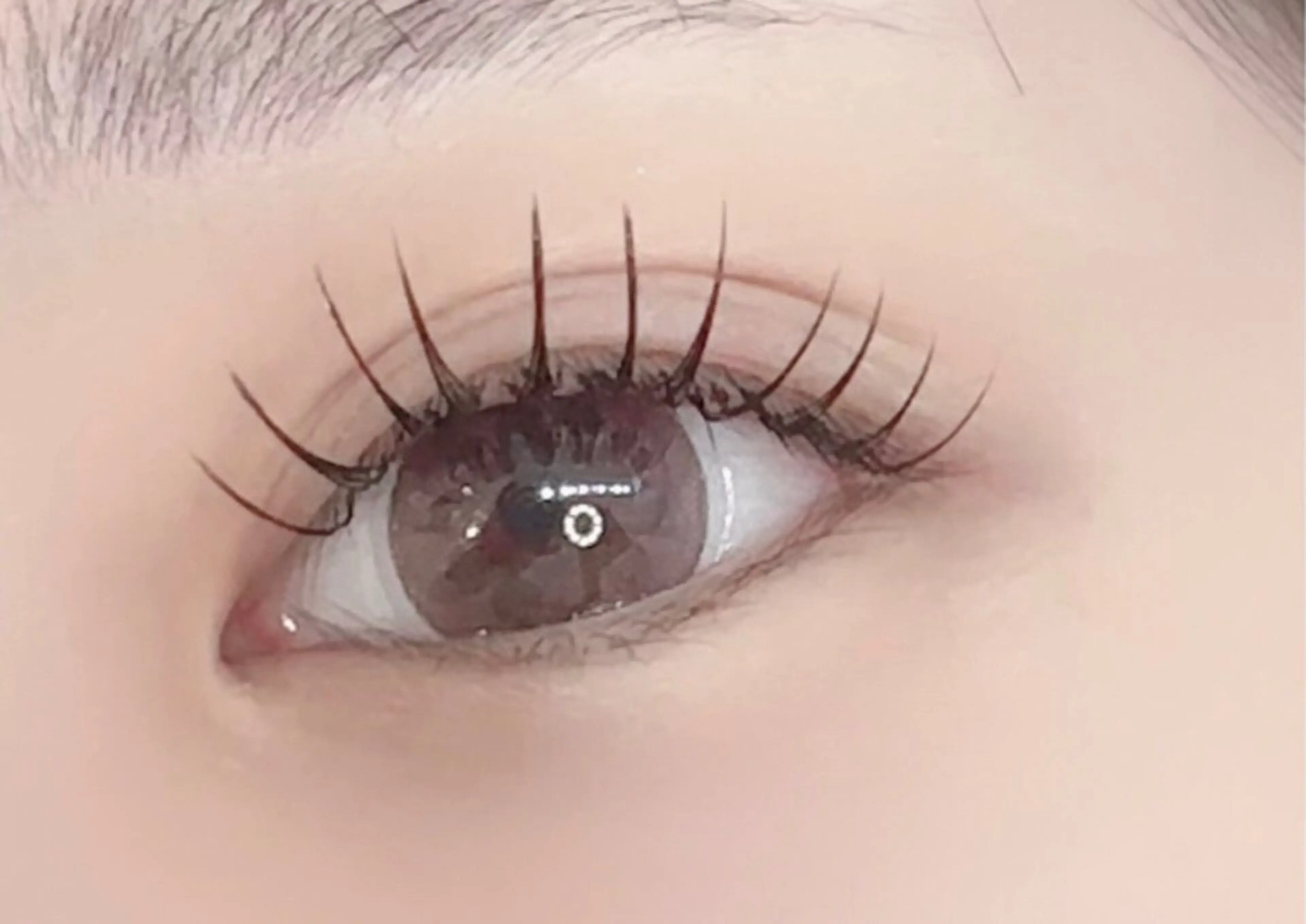 マツエク・マツパ マツエク アレグレス所属・アレグレス@池袋 🌹大人気店🌹のマツエク・マツパデザイン