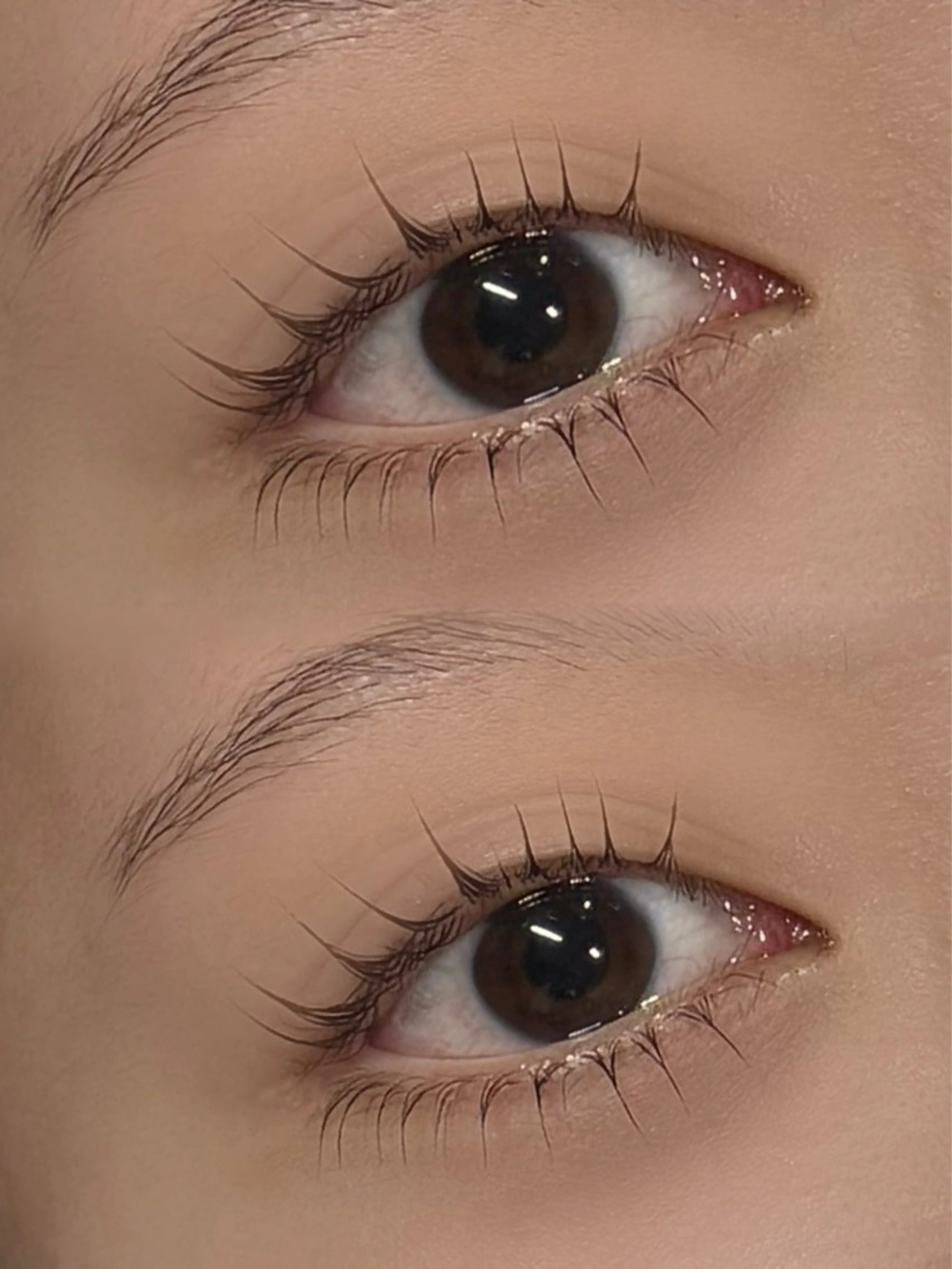 上下パーマの写真